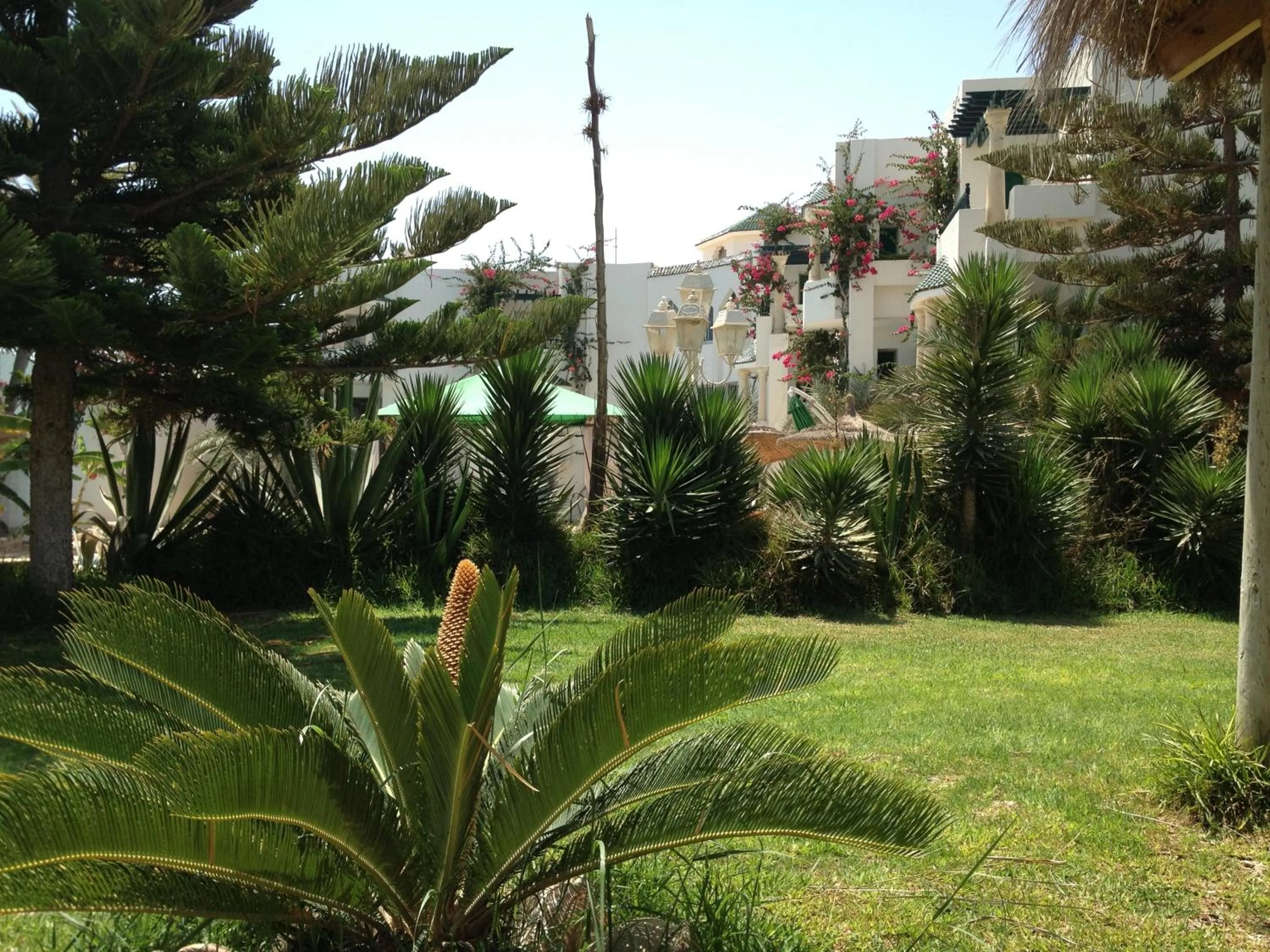 Garden in Hotel Djerba Orient