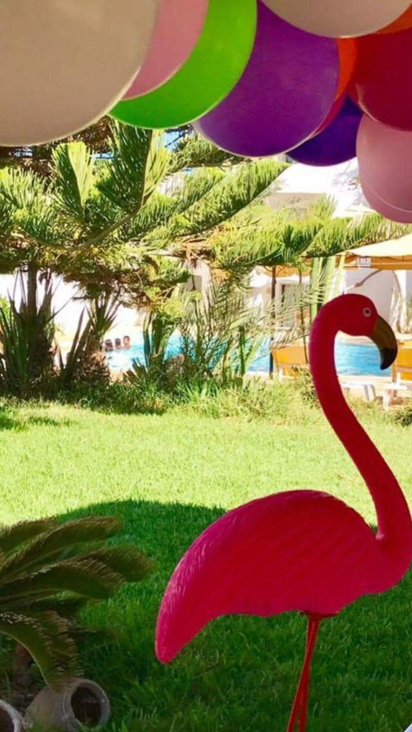 Garden in Hotel Djerba Orient