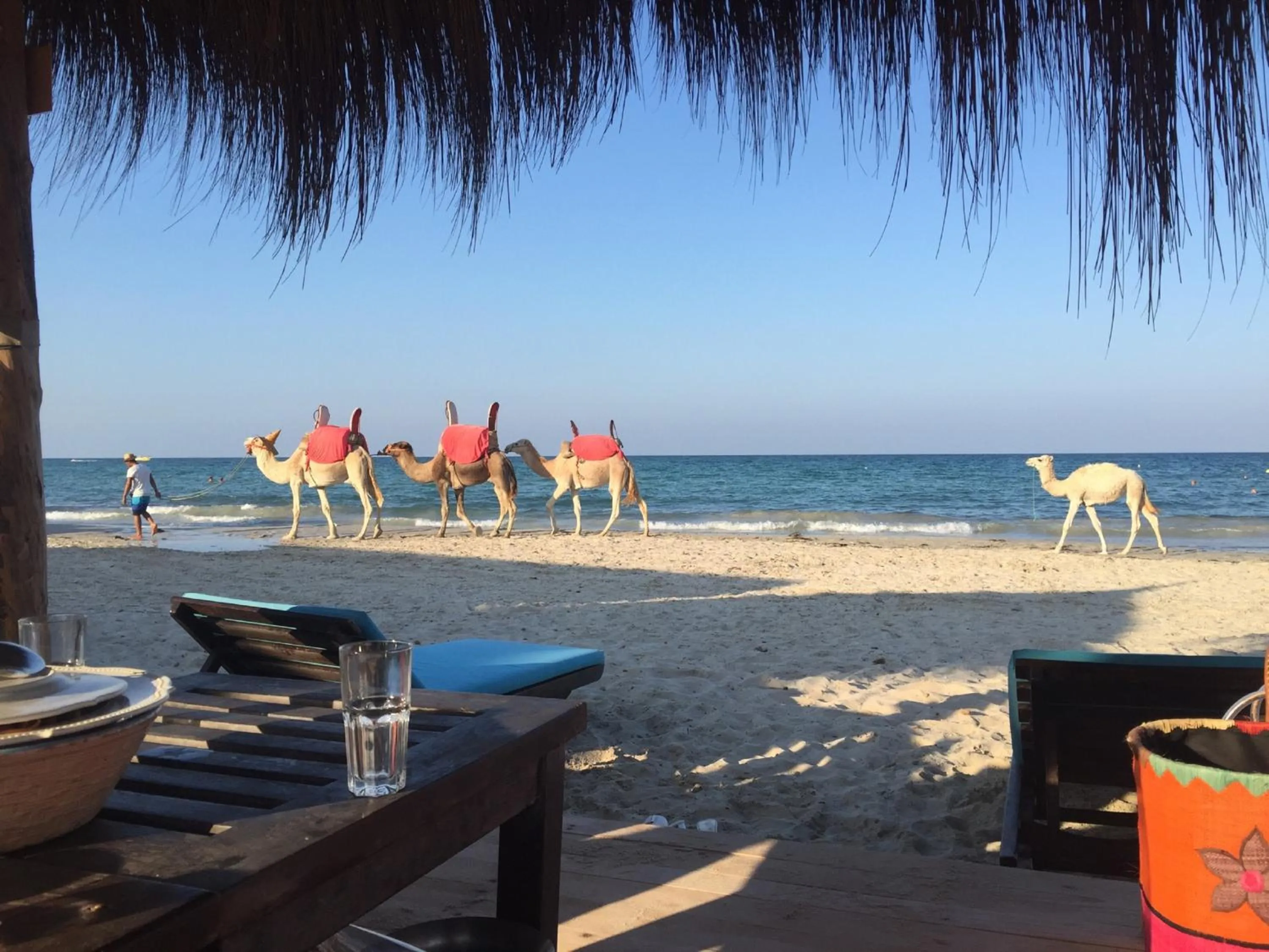 Day in Hotel Djerba Orient