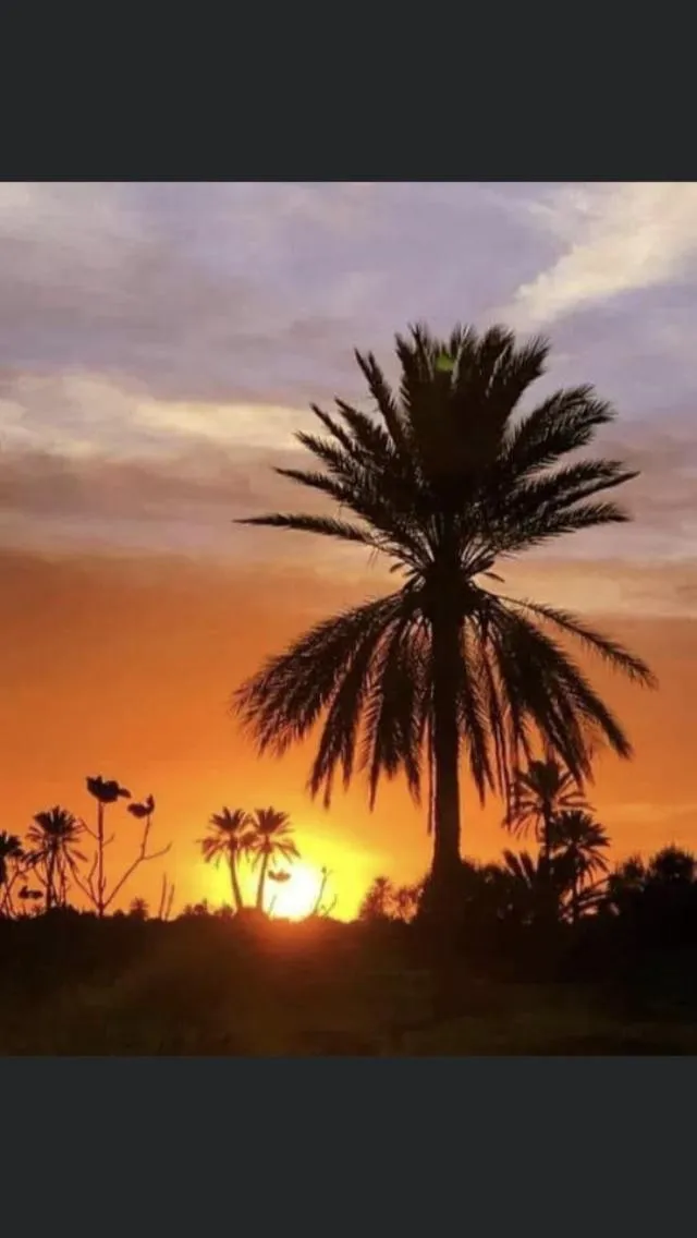 Street view in Hotel Djerba Orient