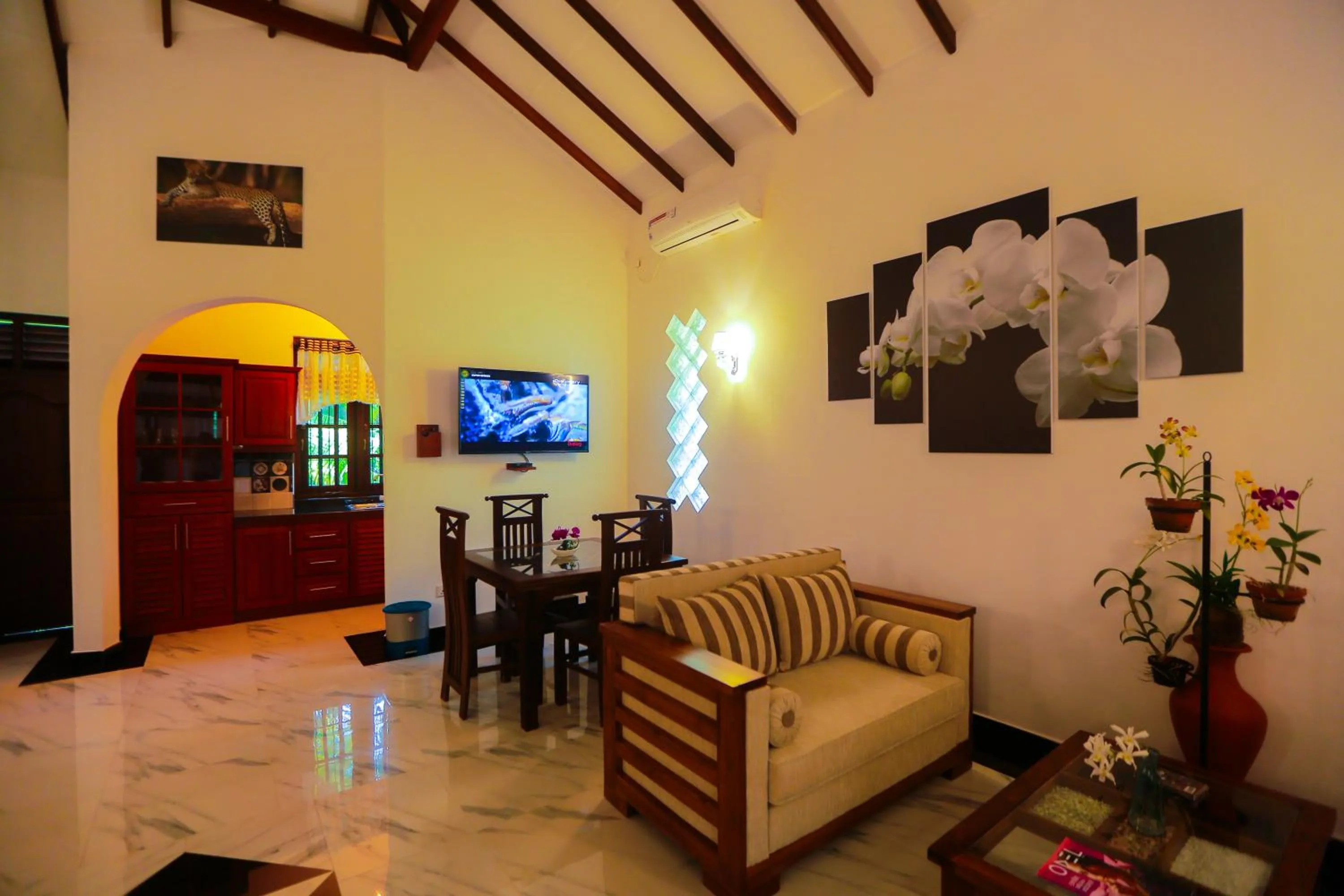 TV and multimedia in SRI LANKAN VILLA