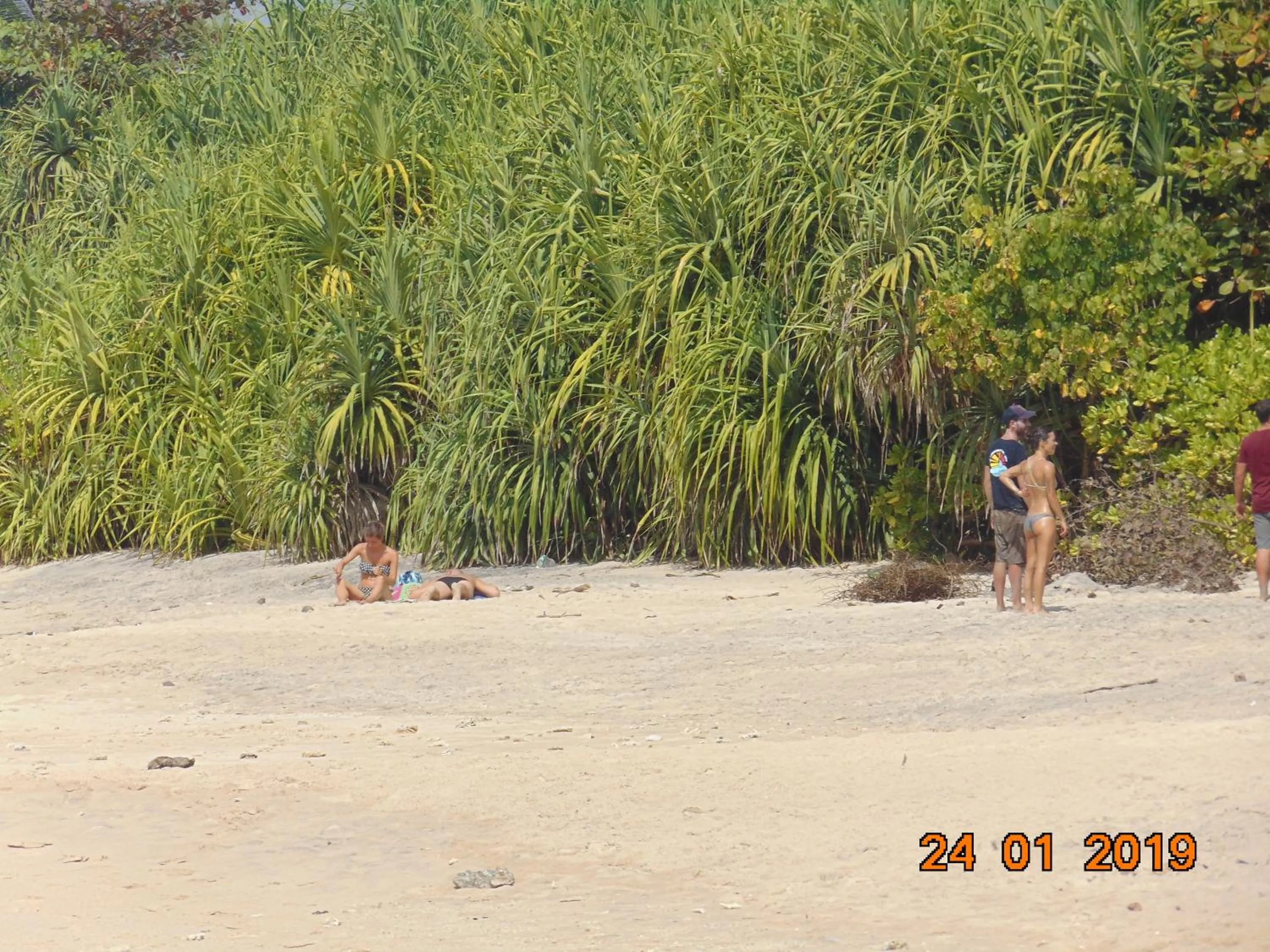 Beach in SRI LANKAN VILLA