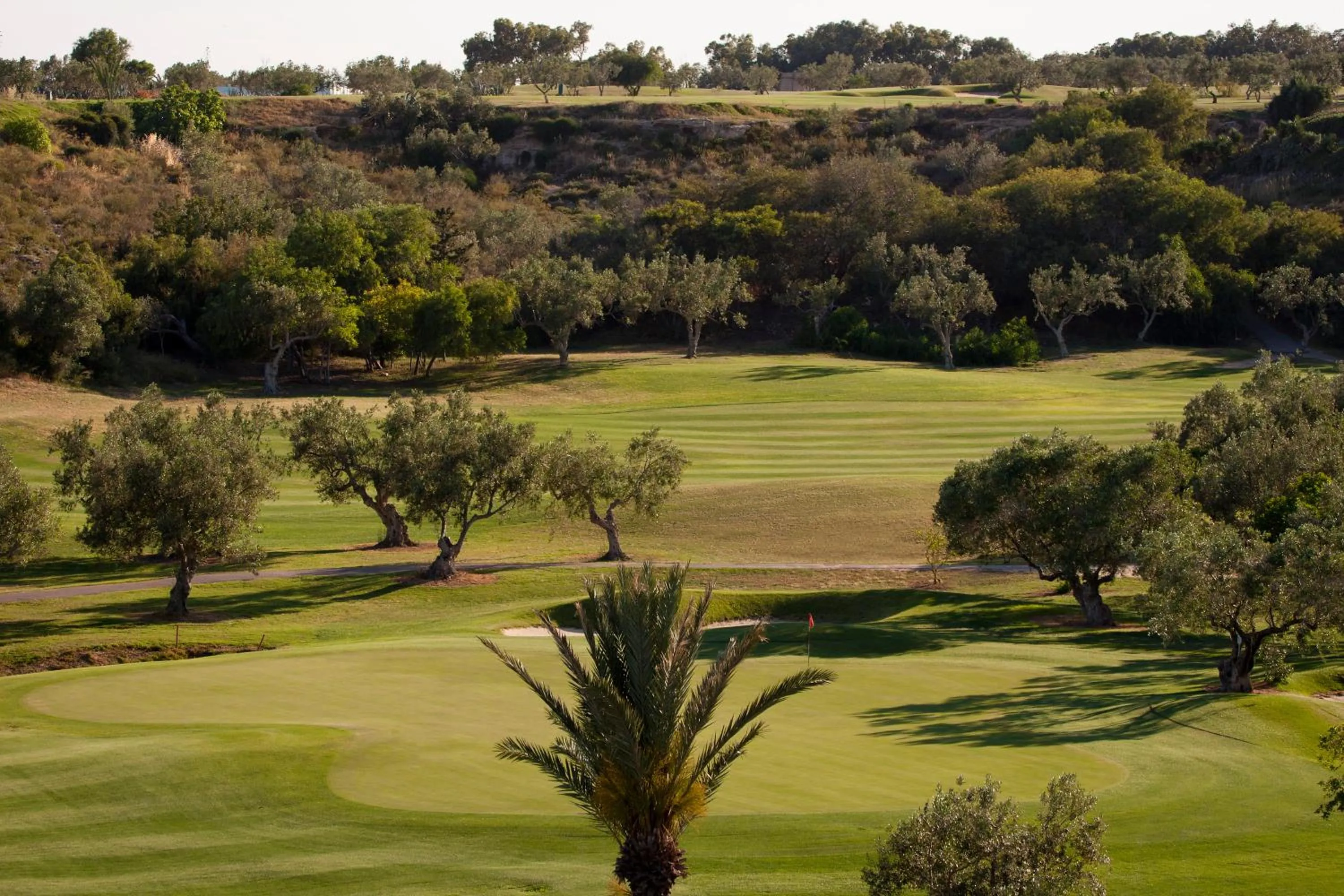 Golfcourse in Seabel Alhambra Beach Golf & Spa