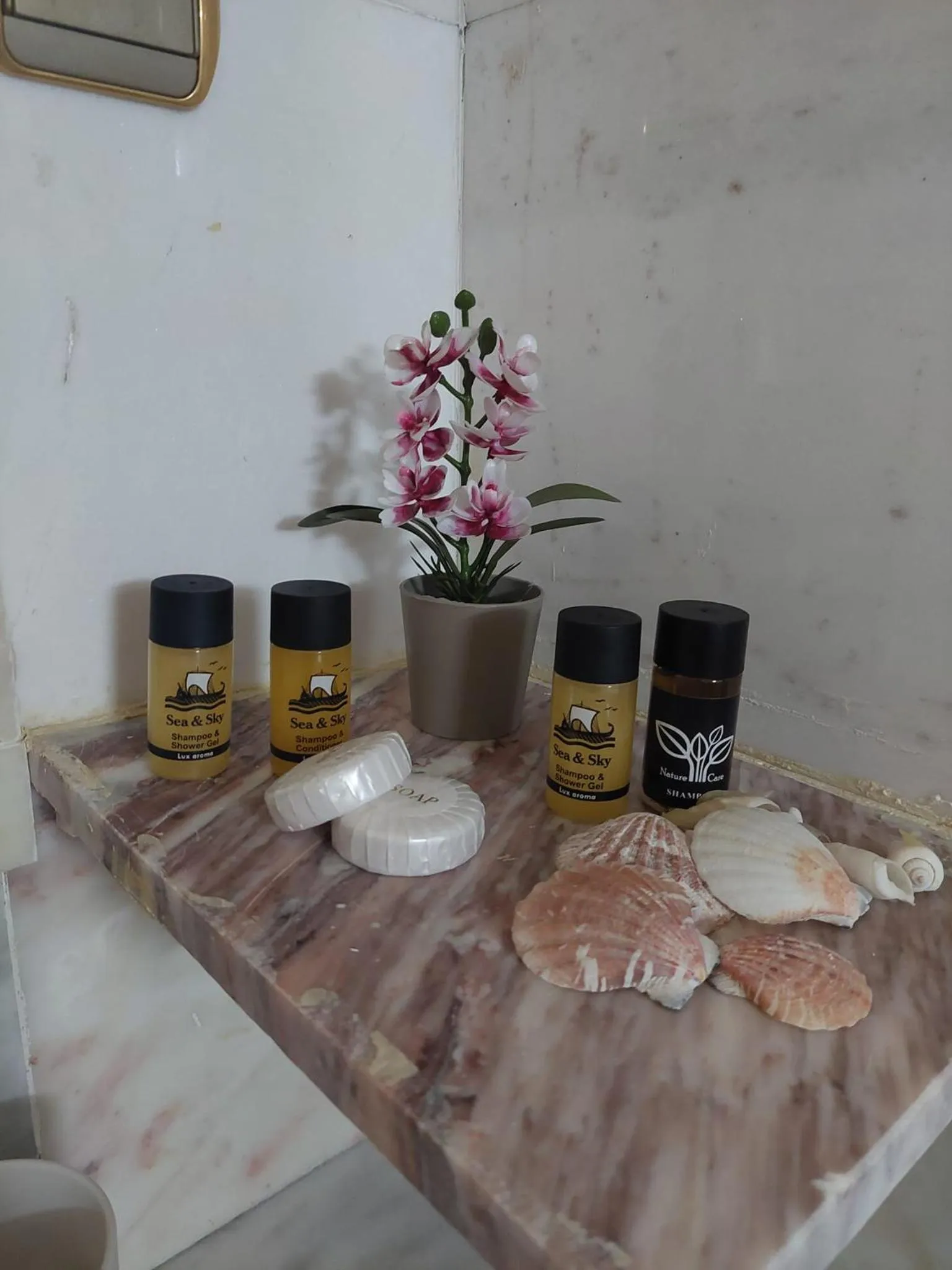 Toilet in Paco's Resort Holiday Flats