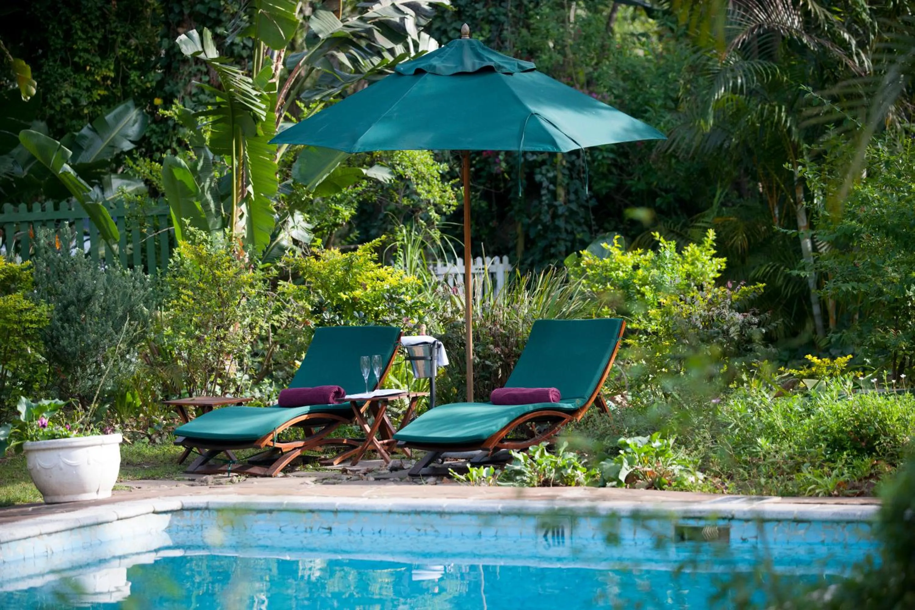 Swimming pool in Hacklewood Hill Country House