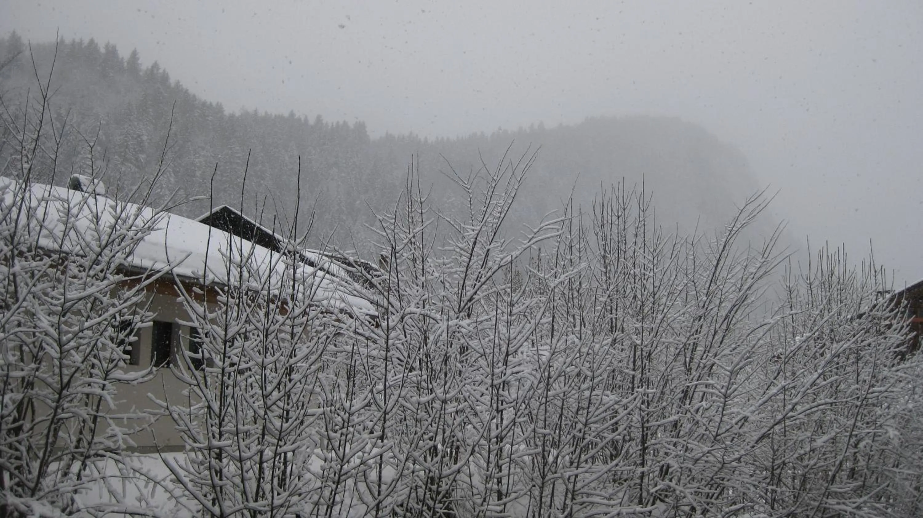 View (from property/room) in Hôtel Le Mont Jorat