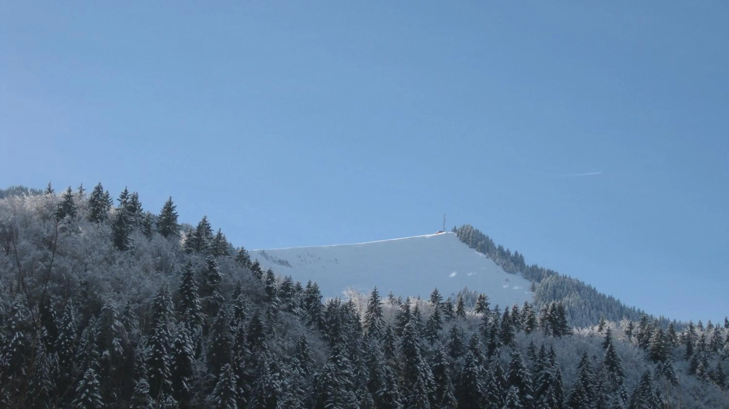 Mountain view in Hôtel Le Mont Jorat