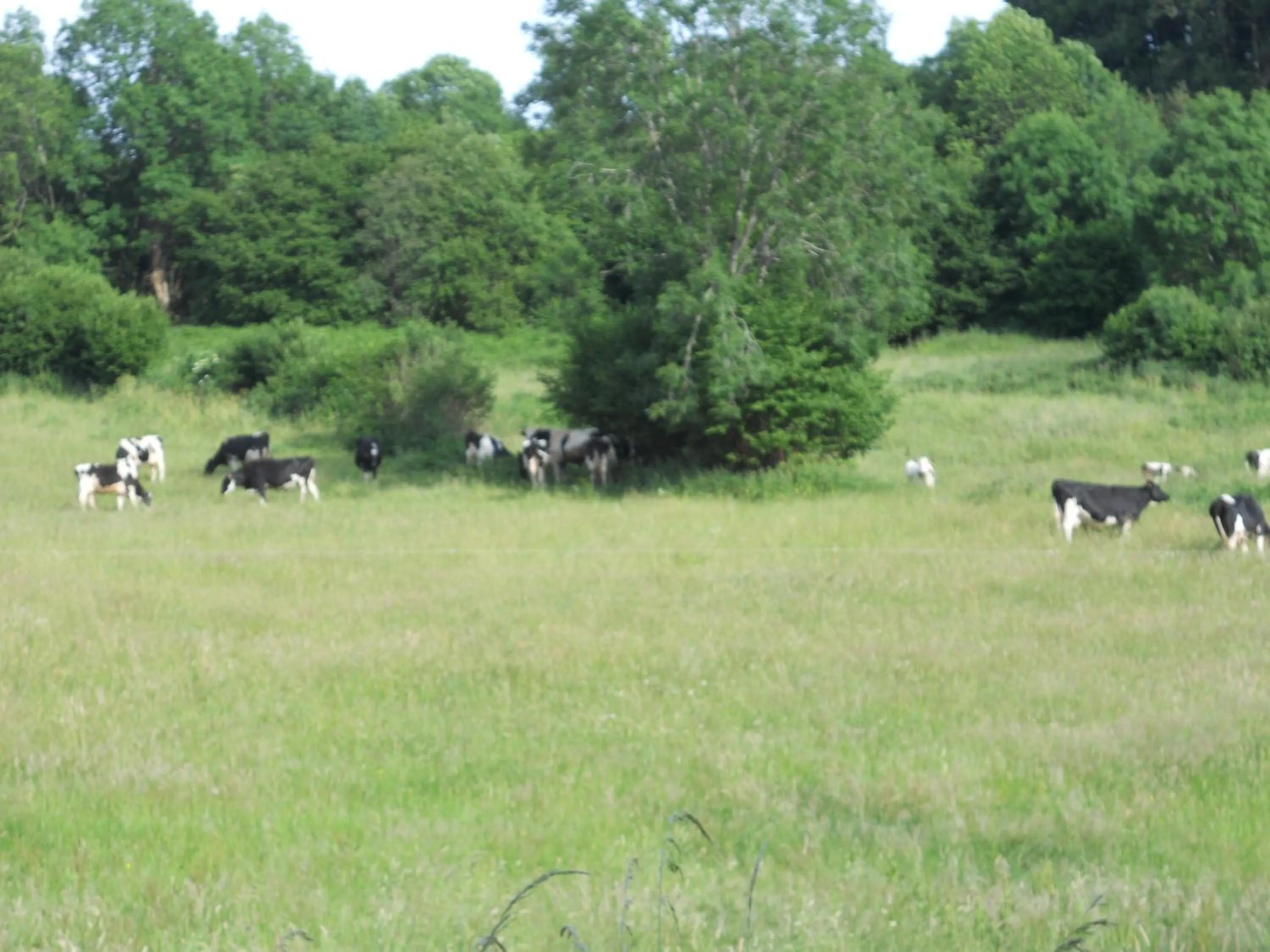 Château de la Moissetie