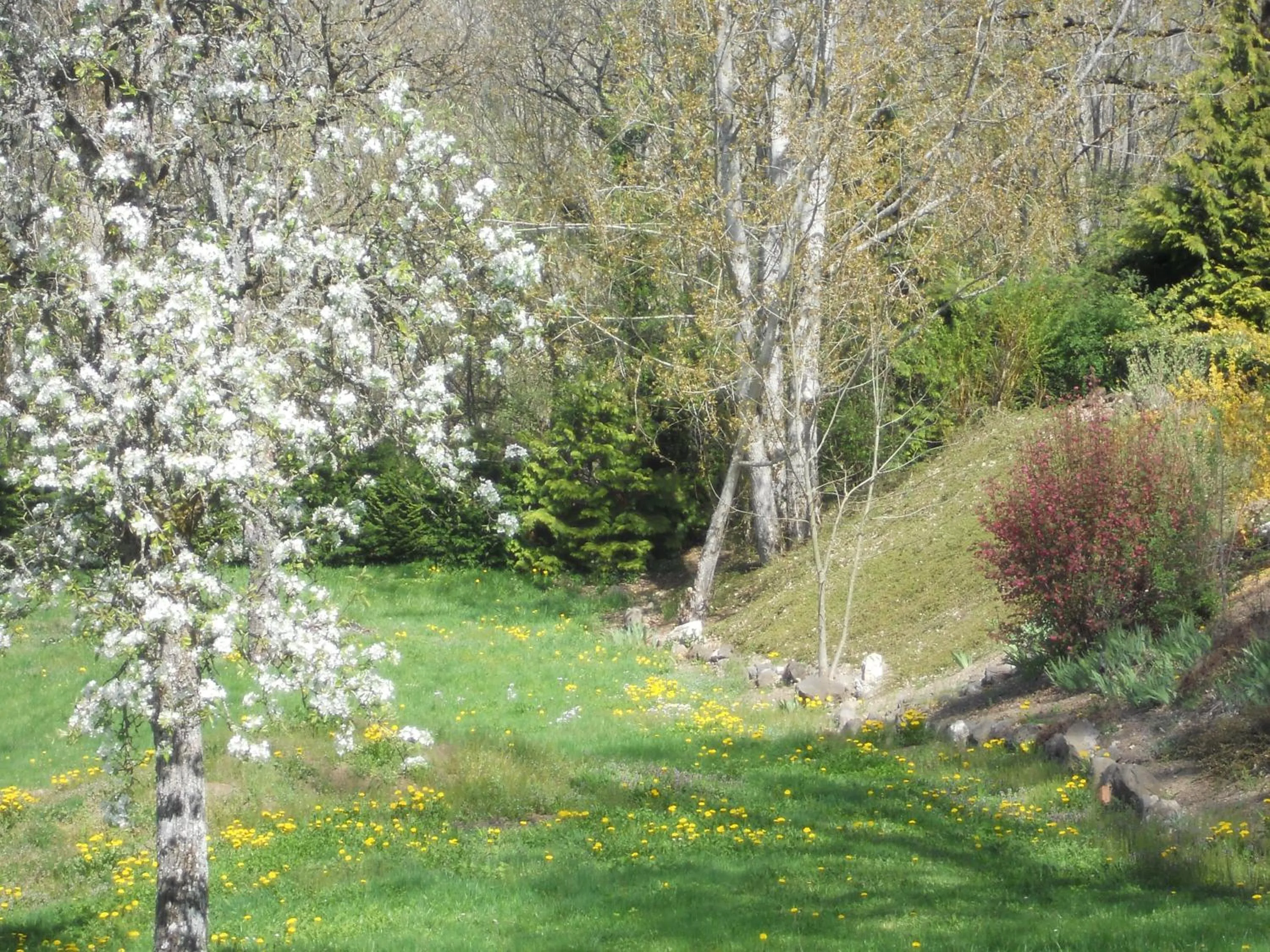 Château de la Moissetie