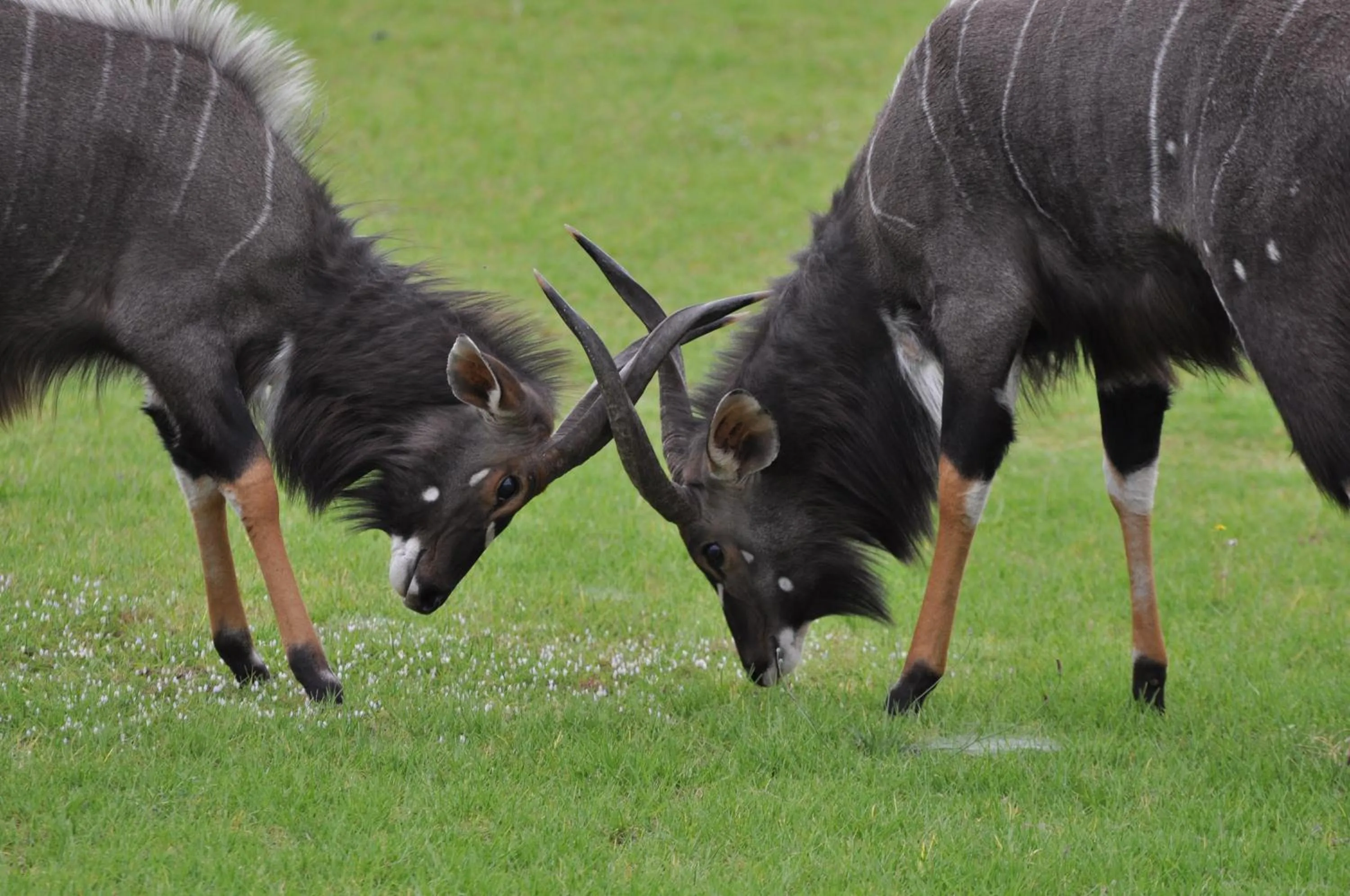 Other in Pumba Private Game Reserve