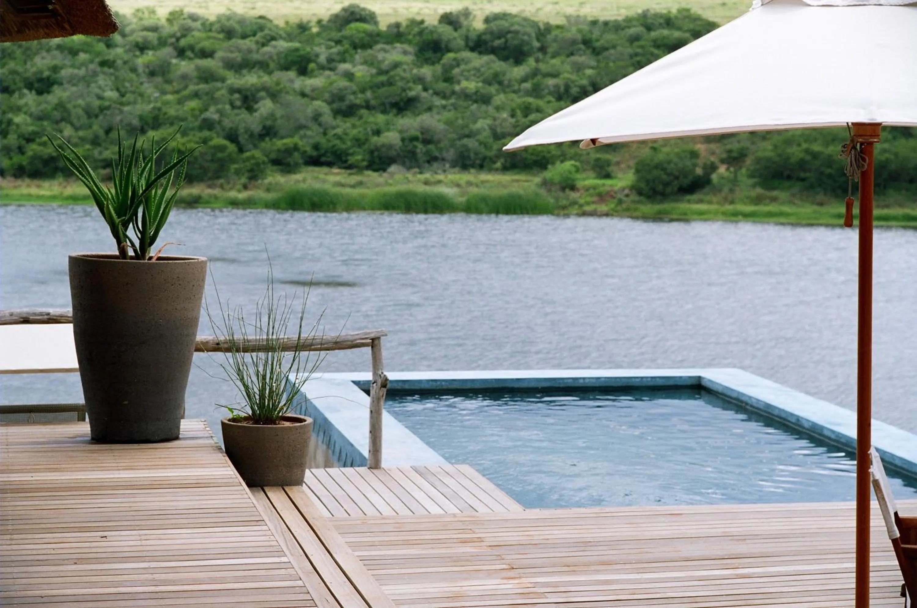 Swimming pool in Pumba Private Game Reserve