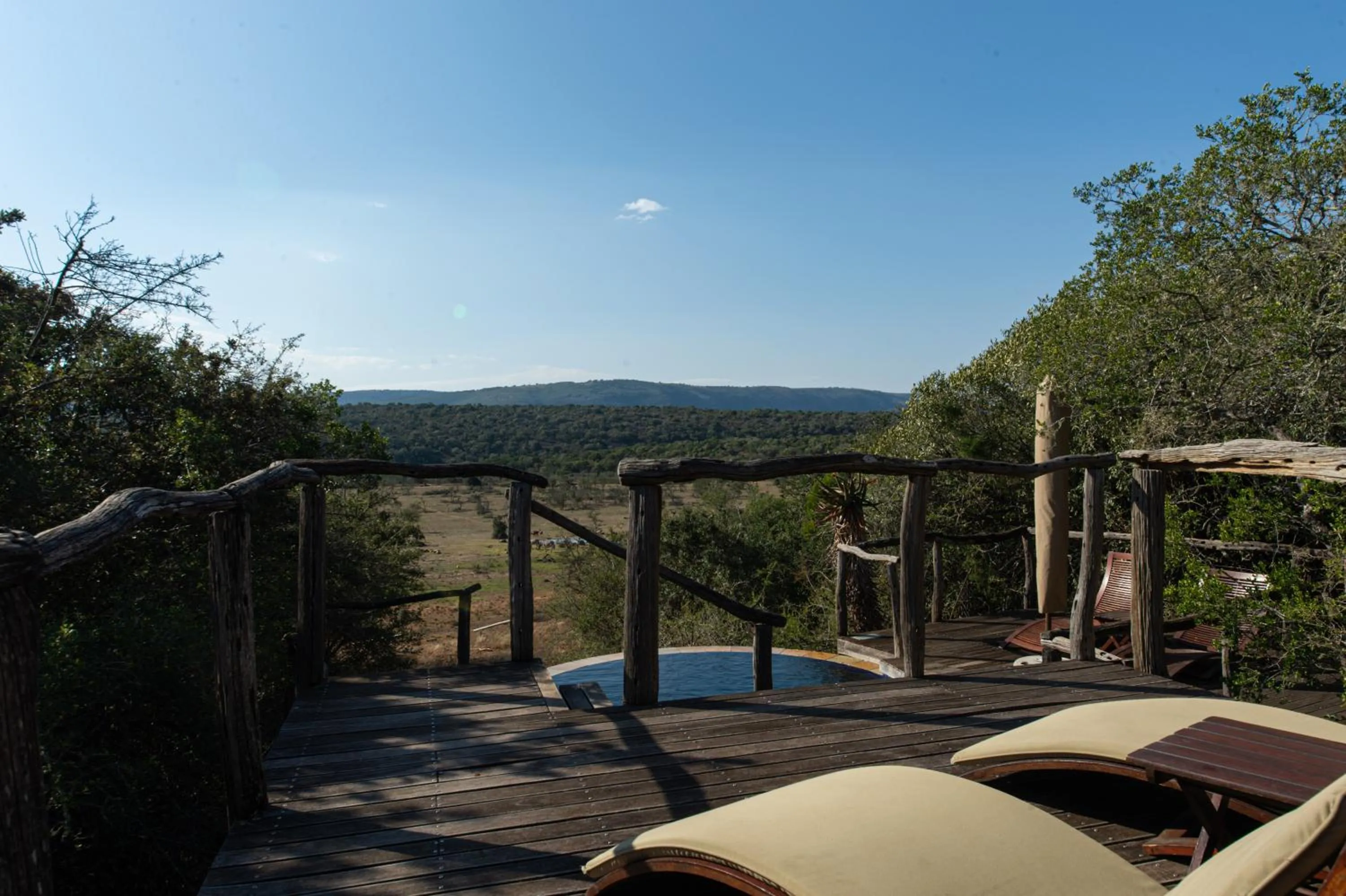 View (from property/room) in Pumba Private Game Reserve