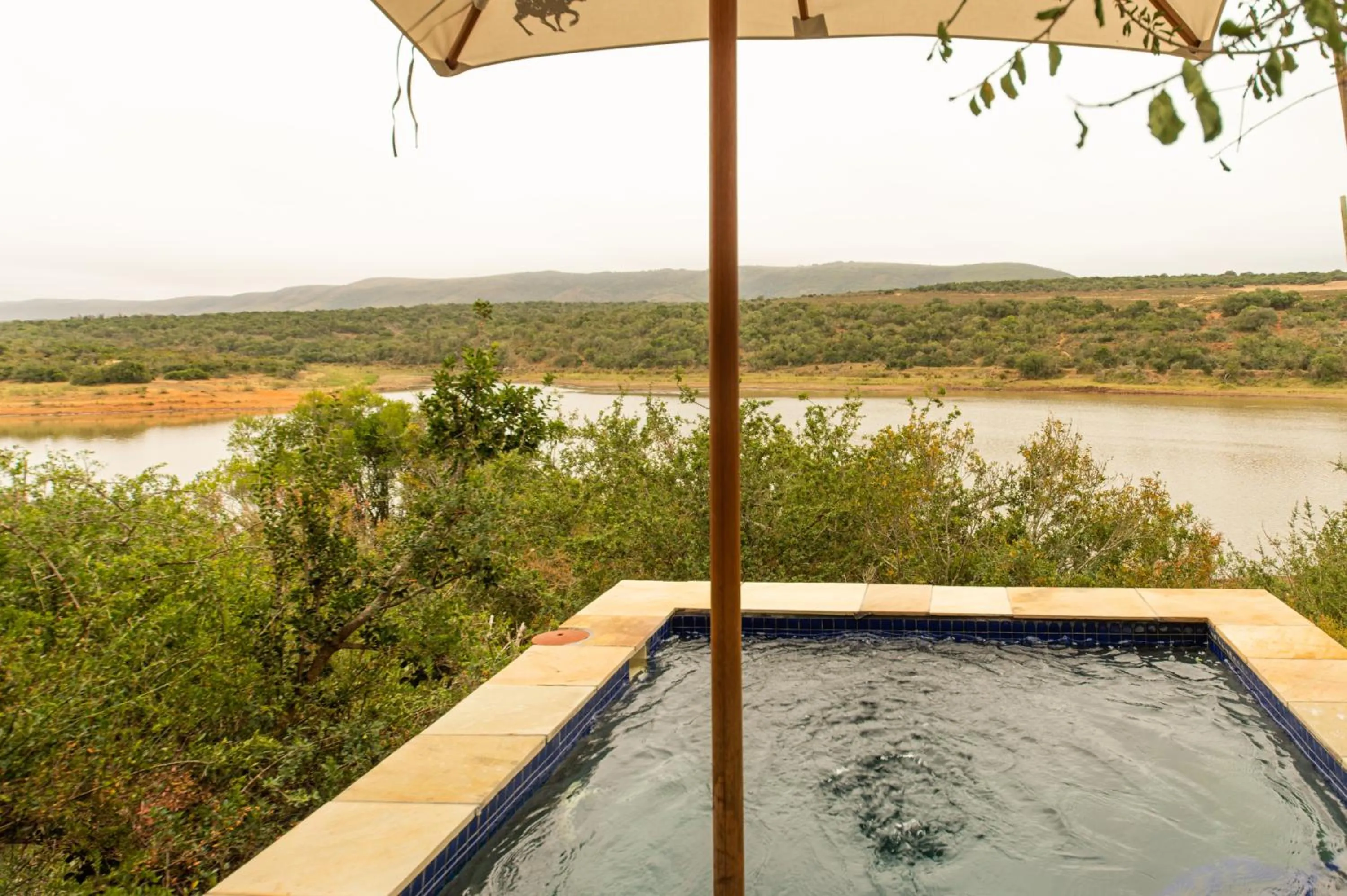 View (from property/room) in Pumba Private Game Reserve
