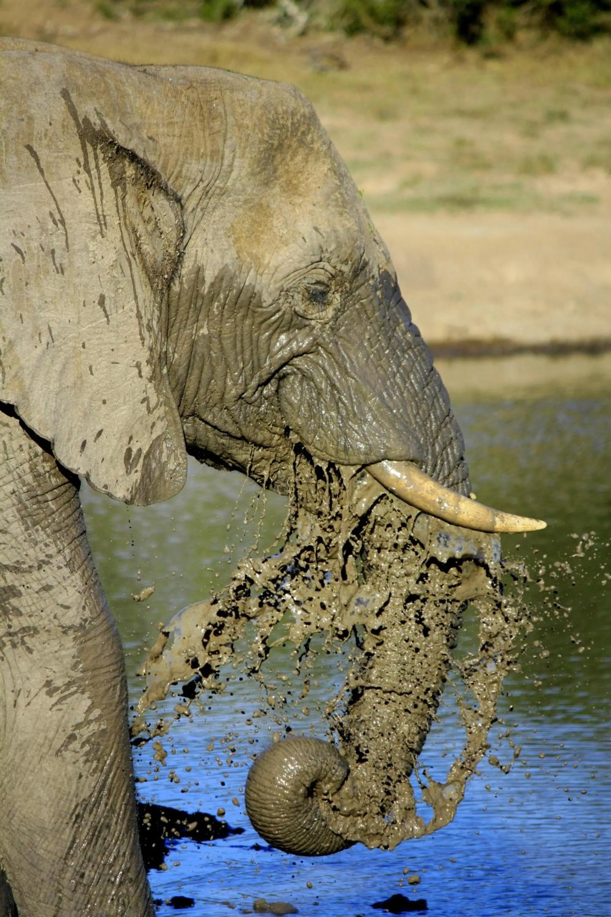Other in Pumba Private Game Reserve