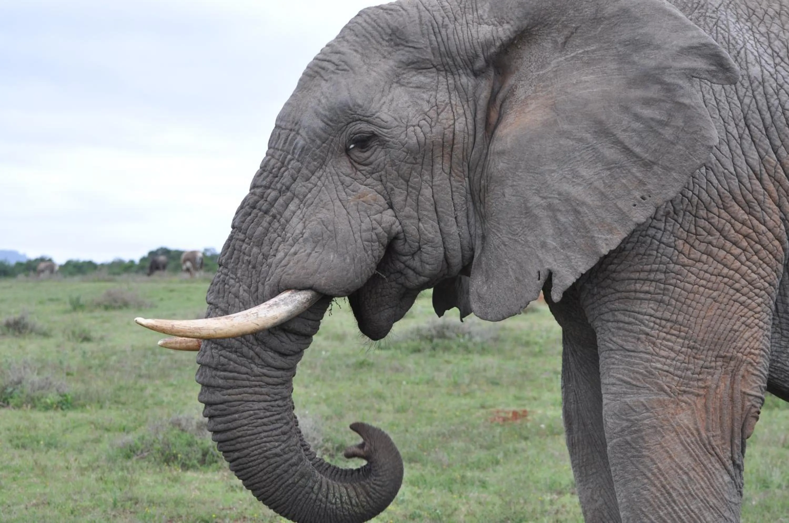 Other in Pumba Private Game Reserve