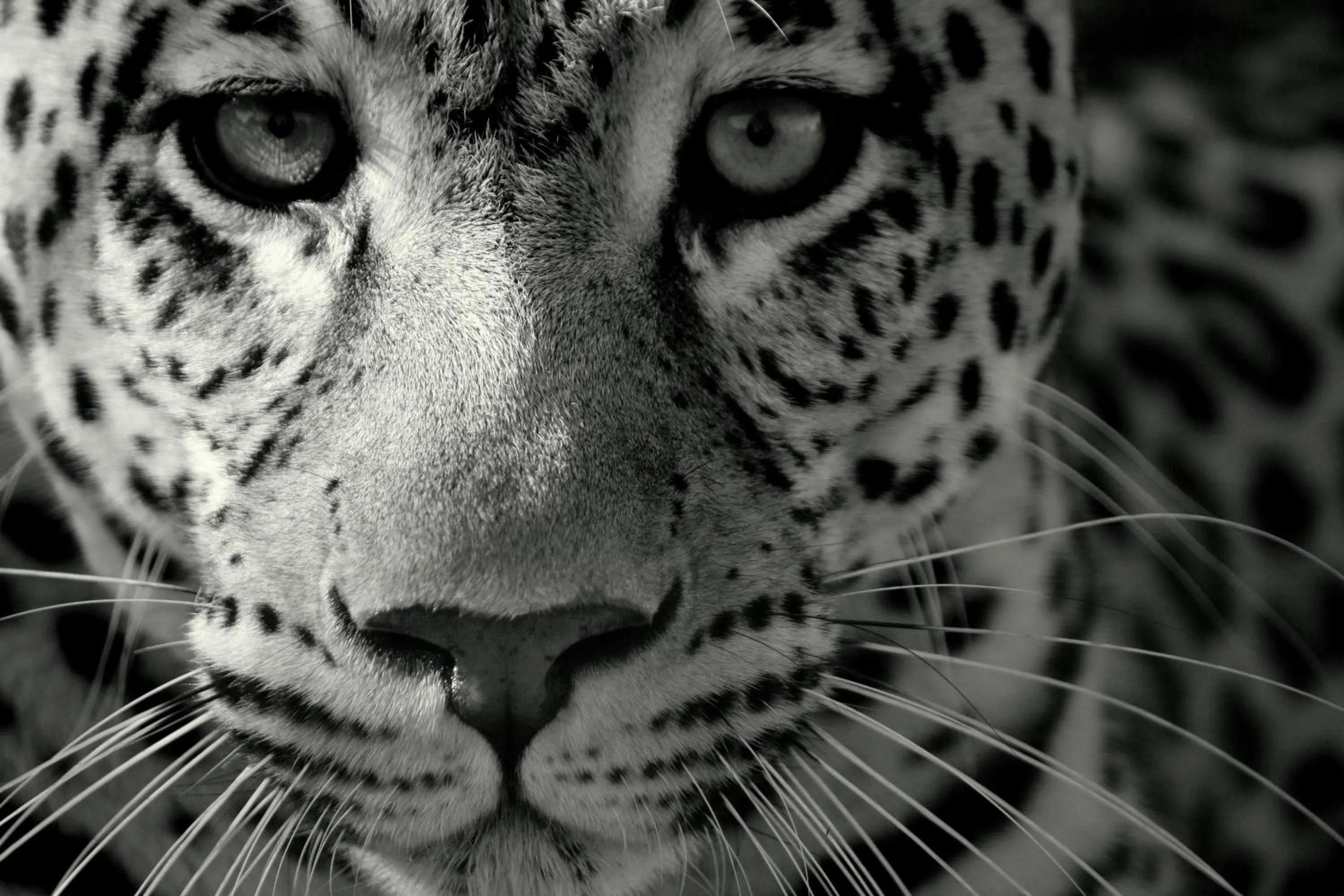 Other in Pumba Private Game Reserve