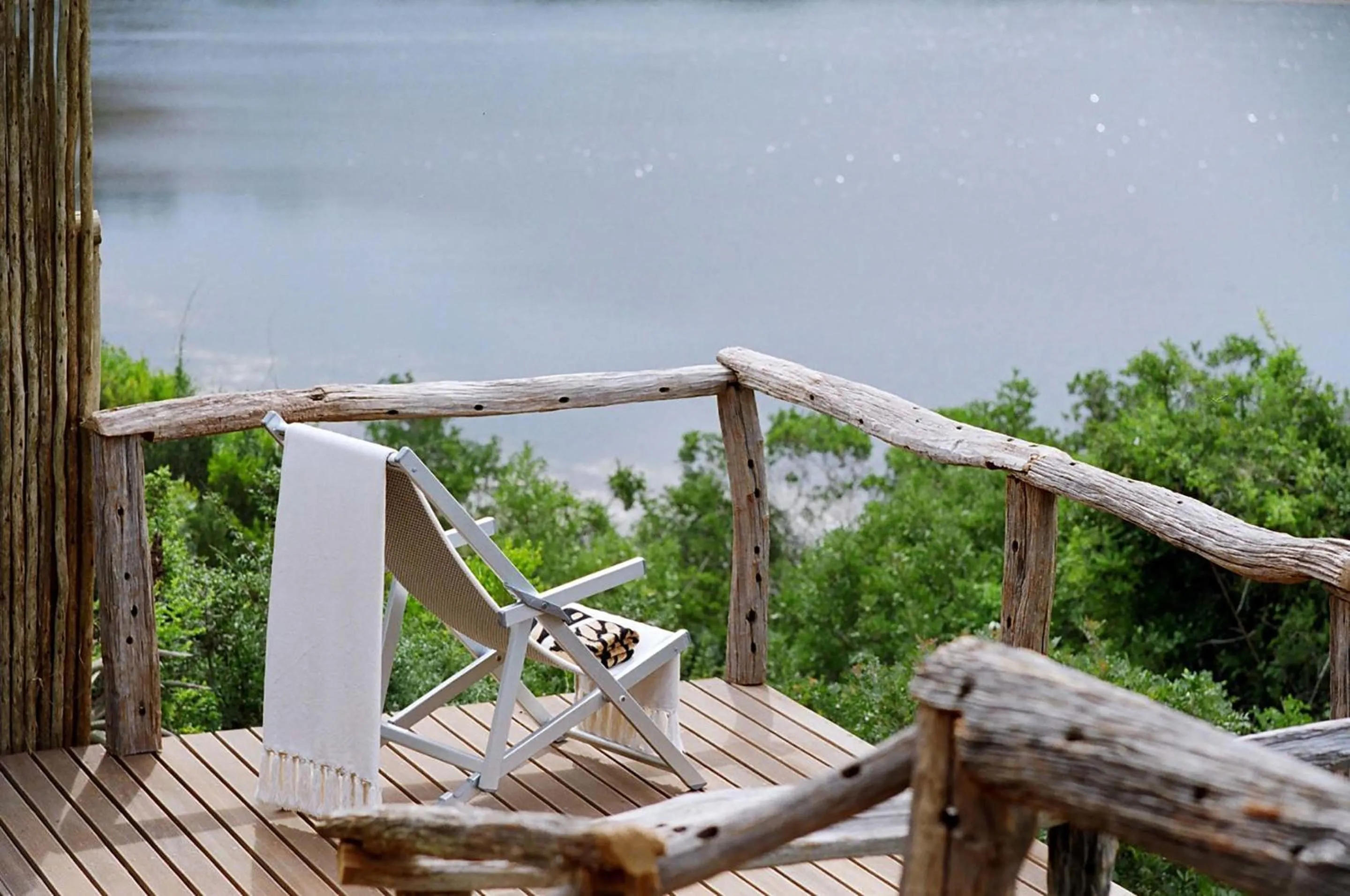 View (from property/room) in Pumba Private Game Reserve