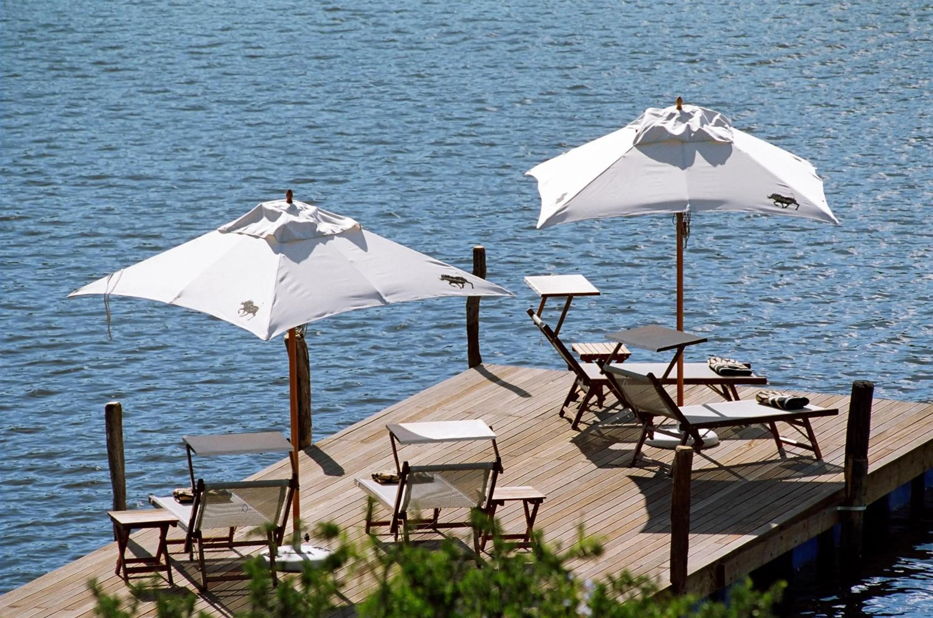 Lake view in Pumba Private Game Reserve