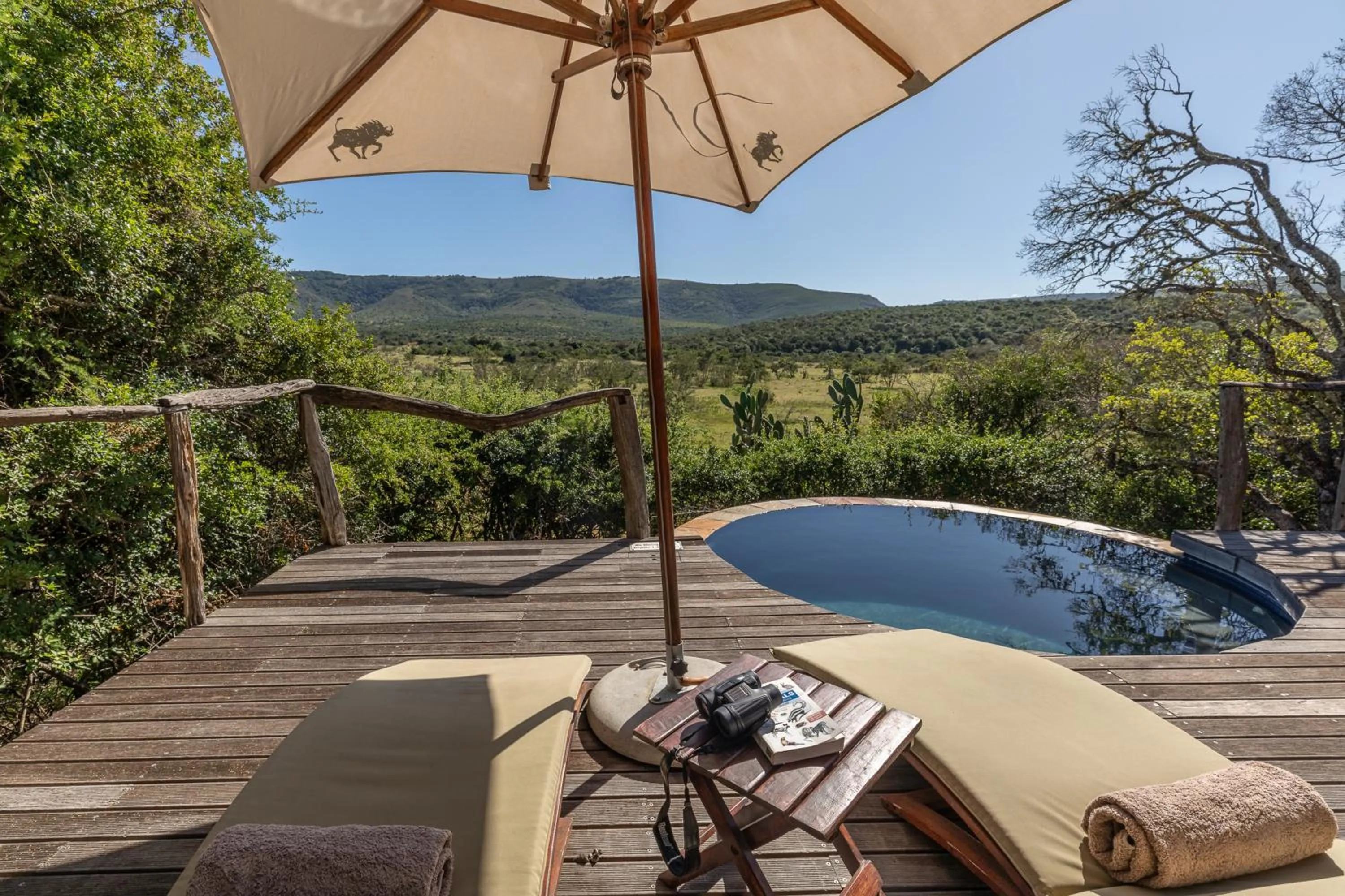 Swimming pool in Pumba Private Game Reserve