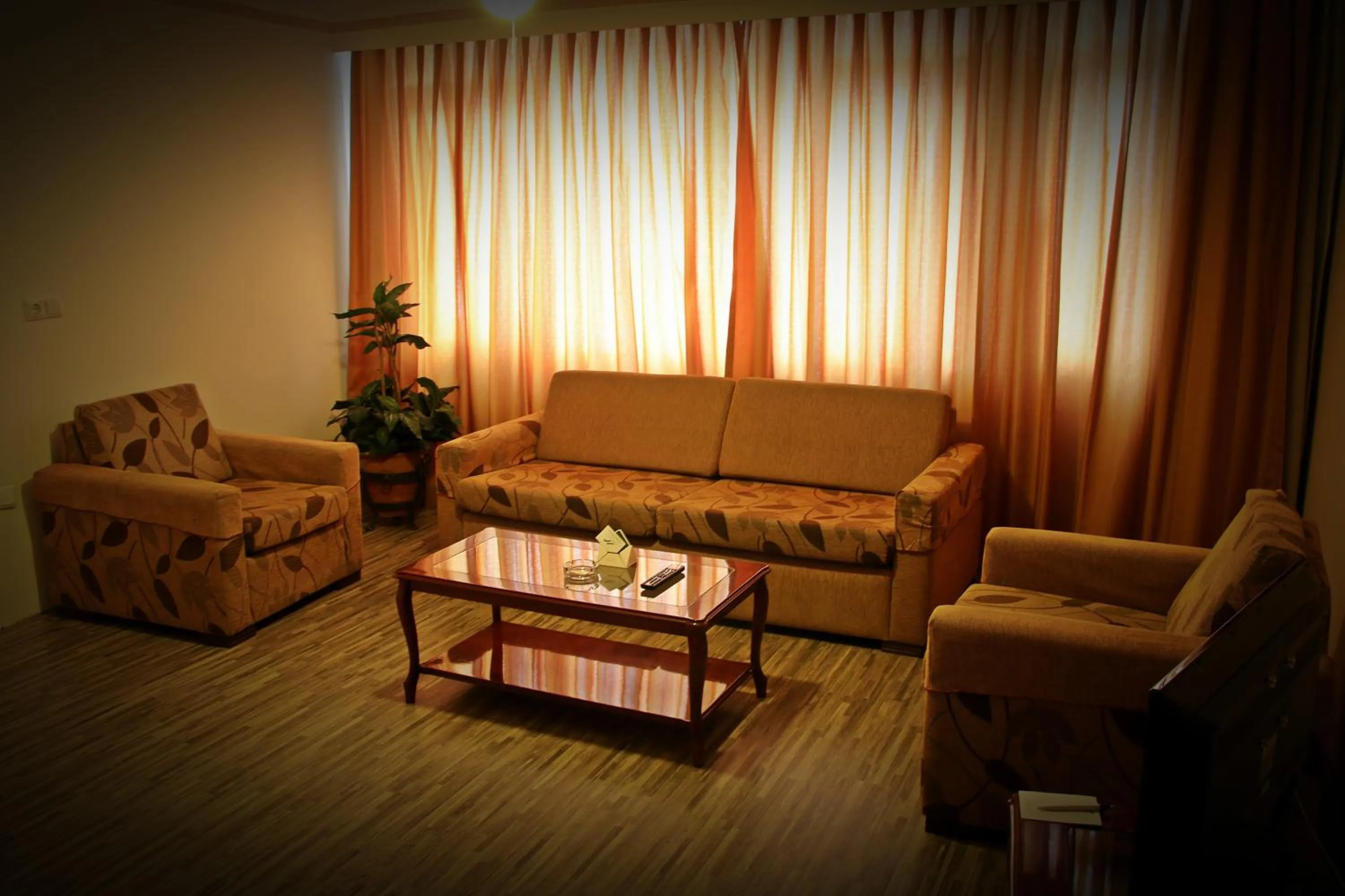 Living room in First Apart Residence