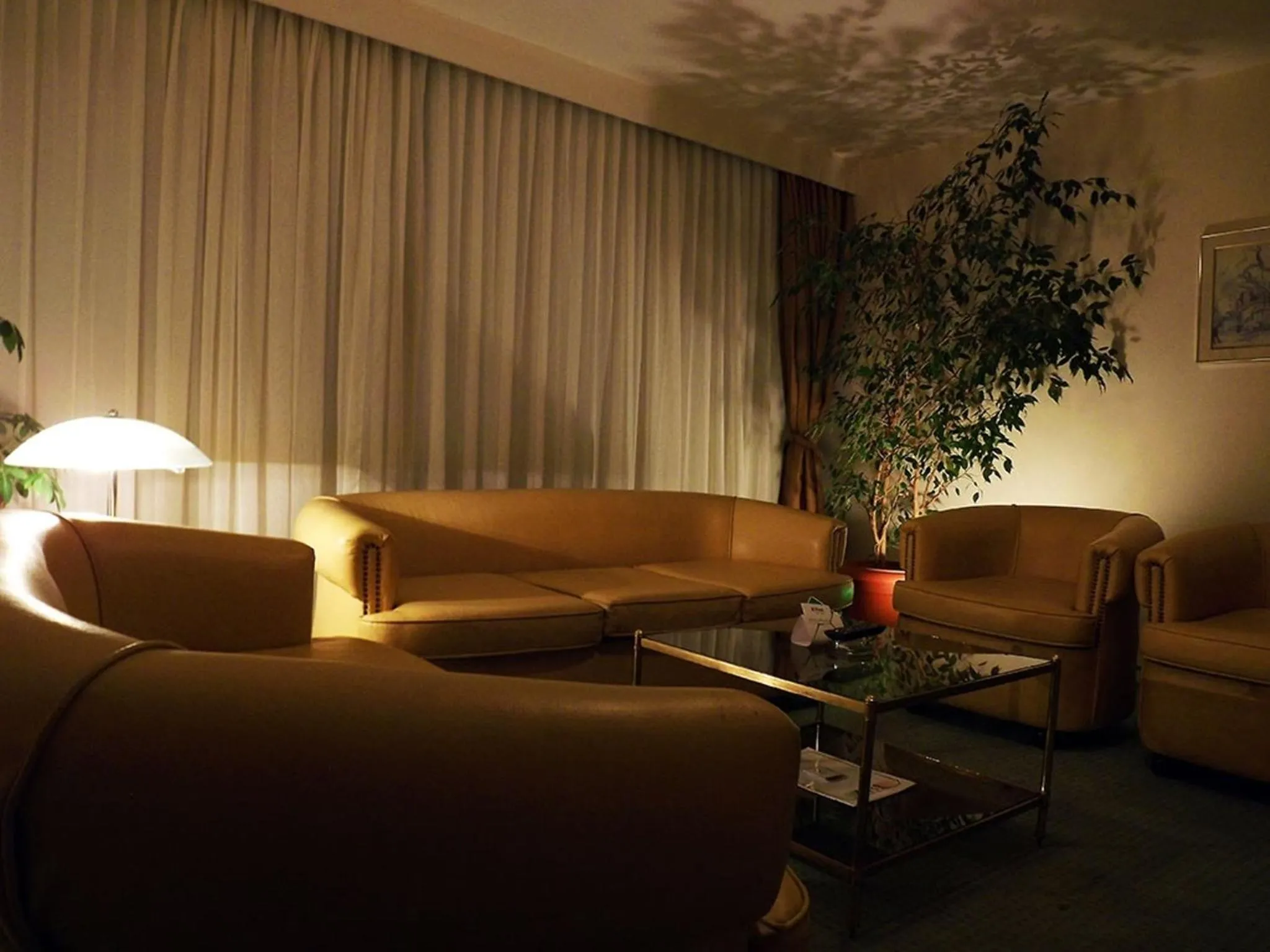 Living room in First Apart Residence