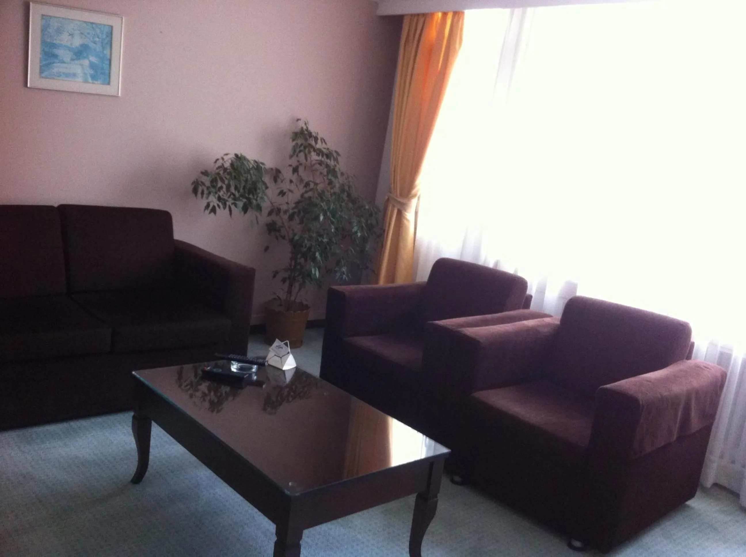 Living room in First Apart Residence