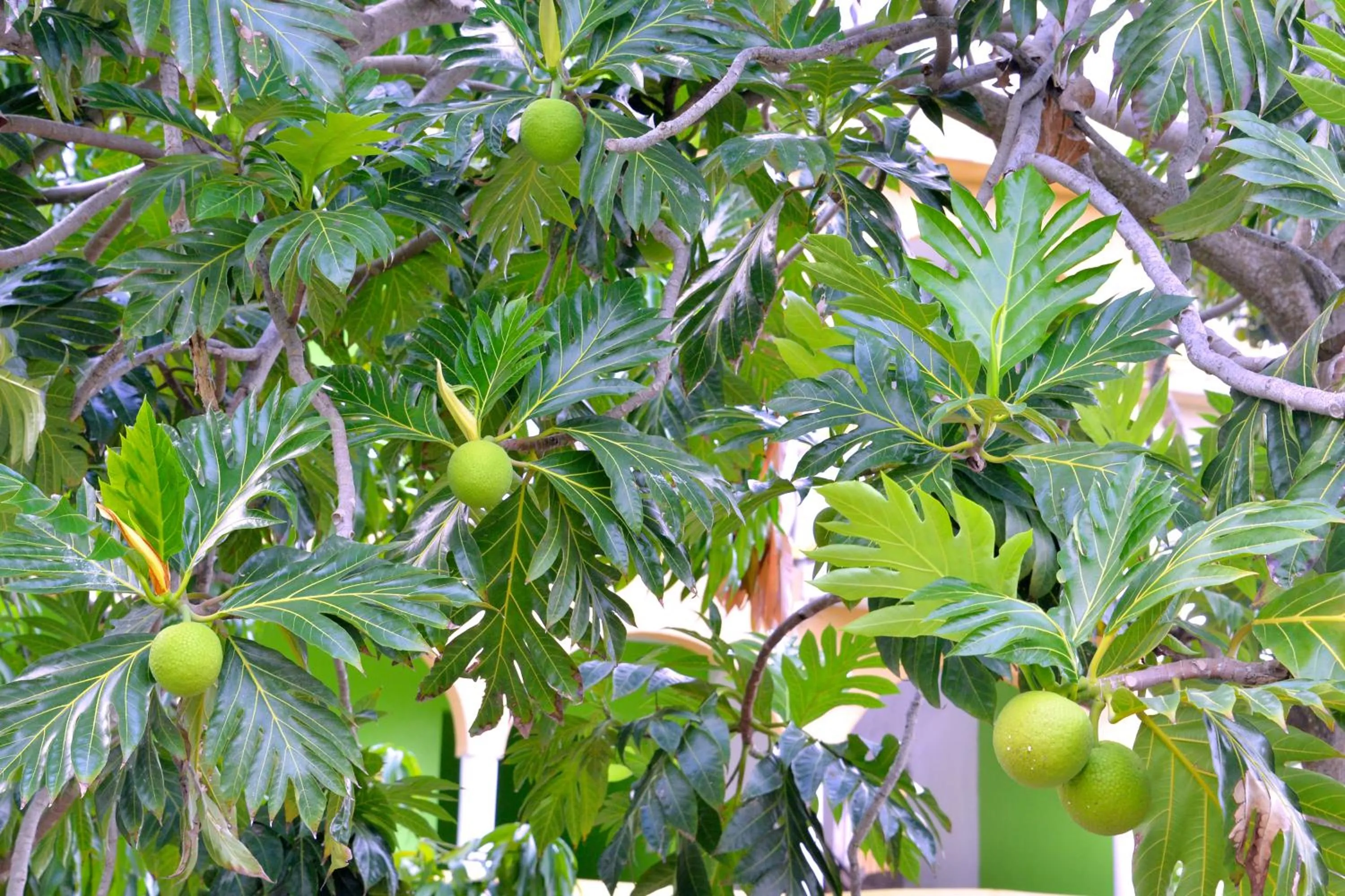 Takuma Boutque Hotel Hotel Rooms & Suites