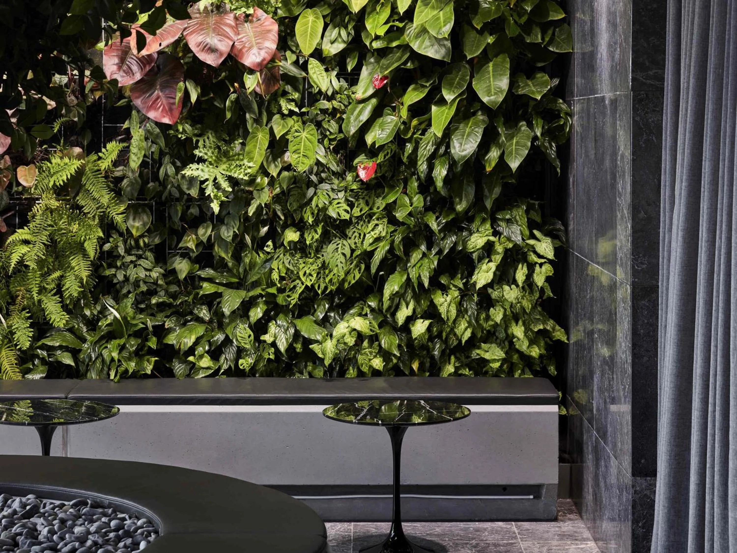 Other in Shadow Play by Peppers