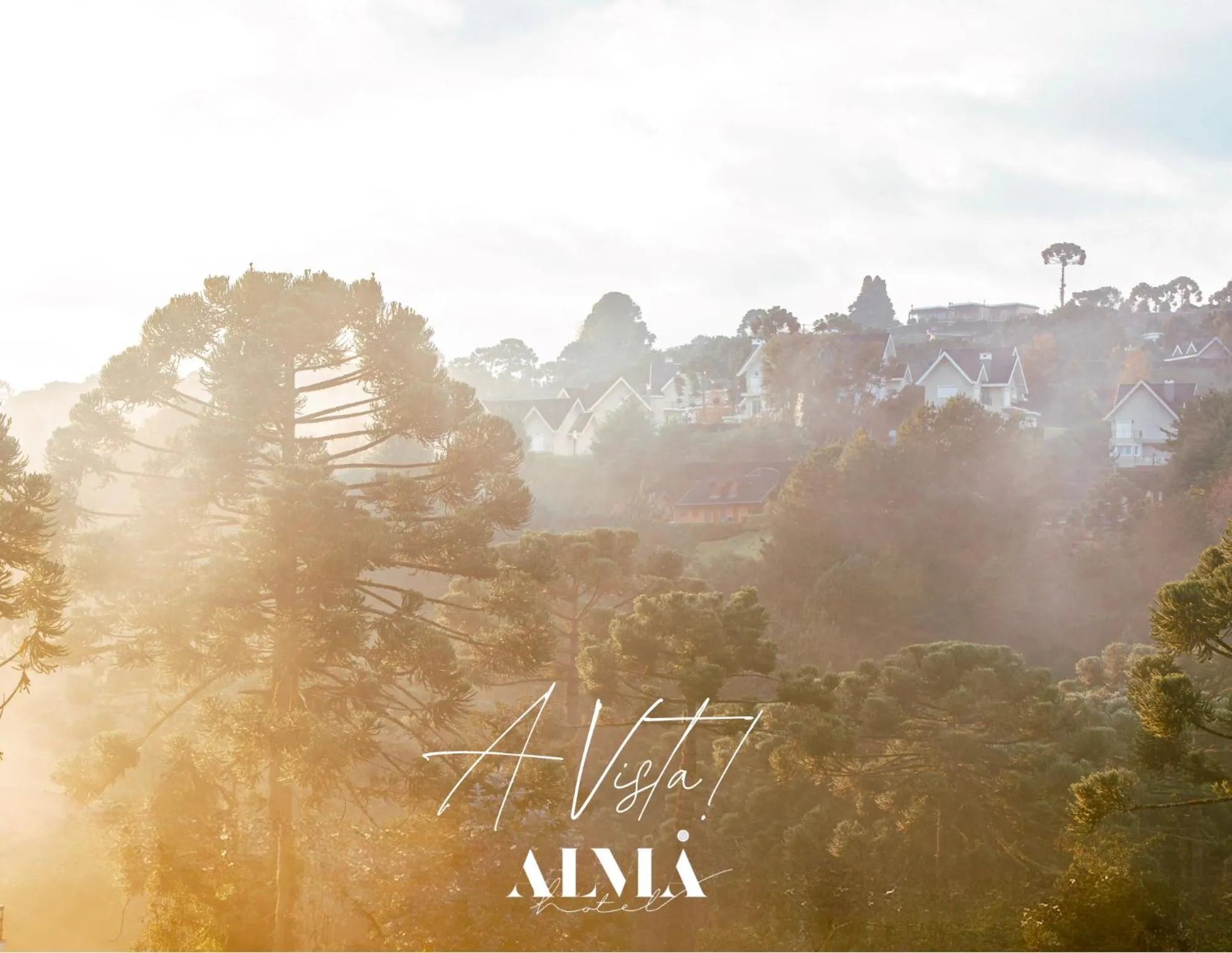 View (from property/room) in Alma Hotel