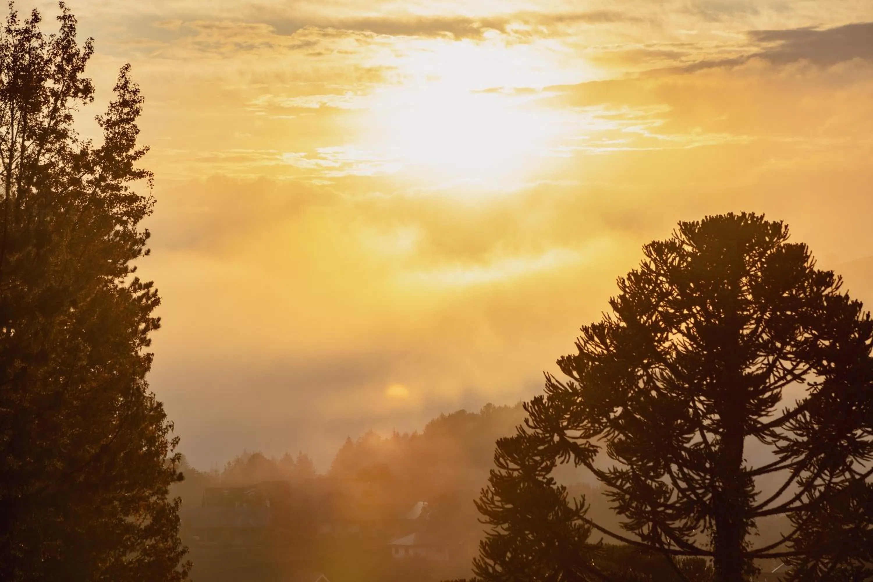 View (from property/room) in Alma Hotel