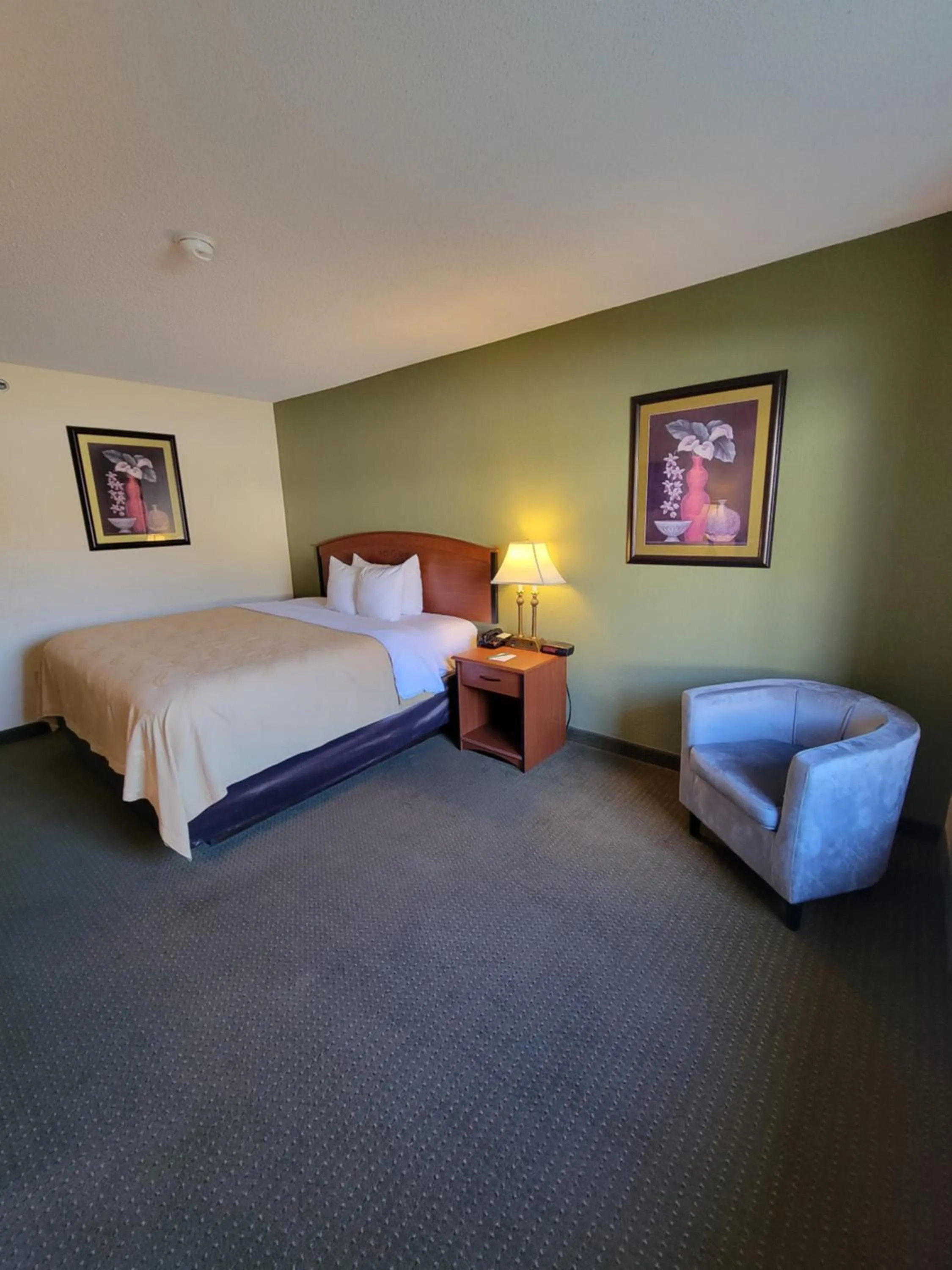 Bedroom, Bed in Quality Inn & Suites Prestonsburg next to Mountain Arts Center