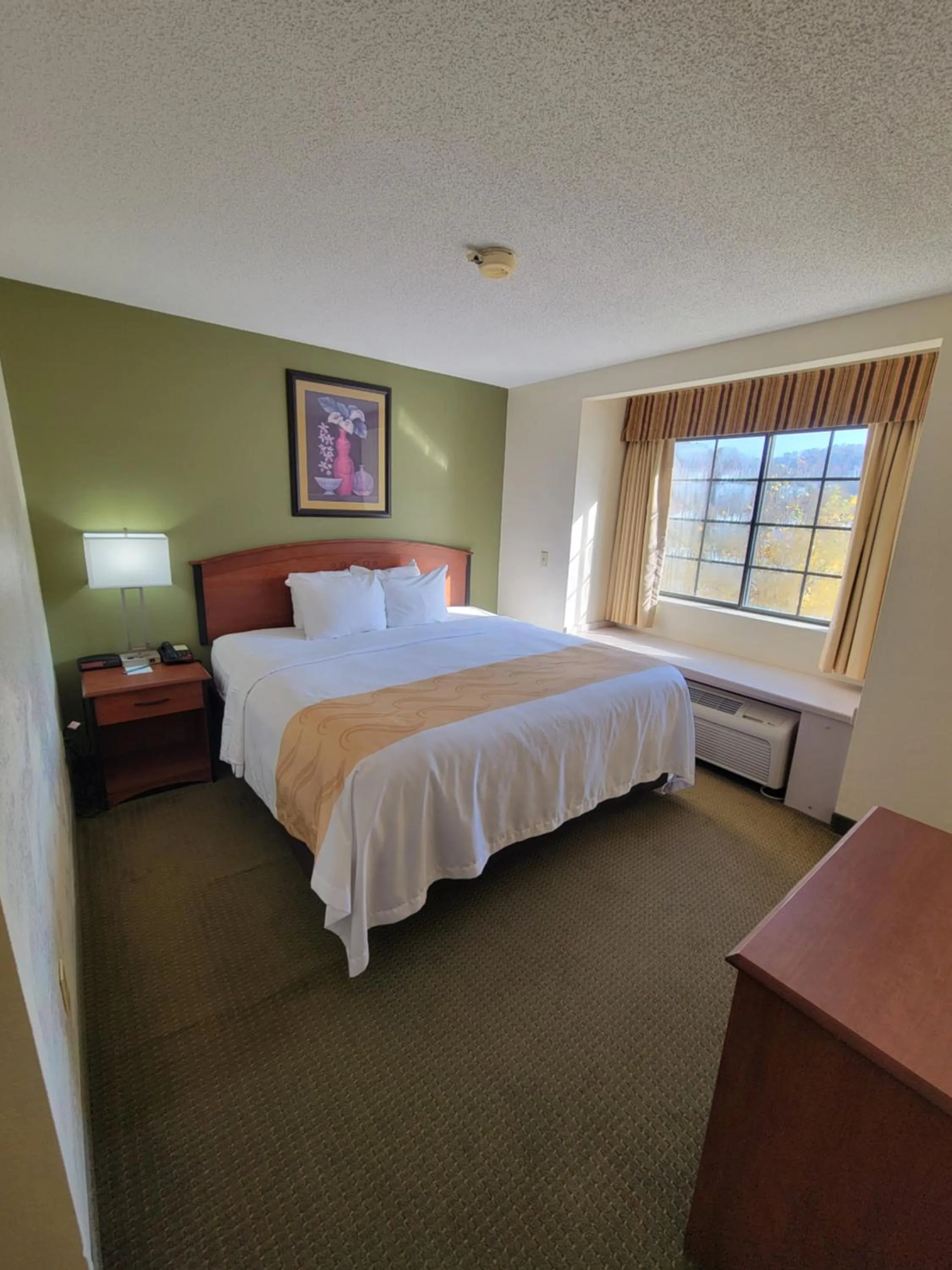 Bedroom, Bed in Quality Inn & Suites Prestonsburg next to Mountain Arts Center