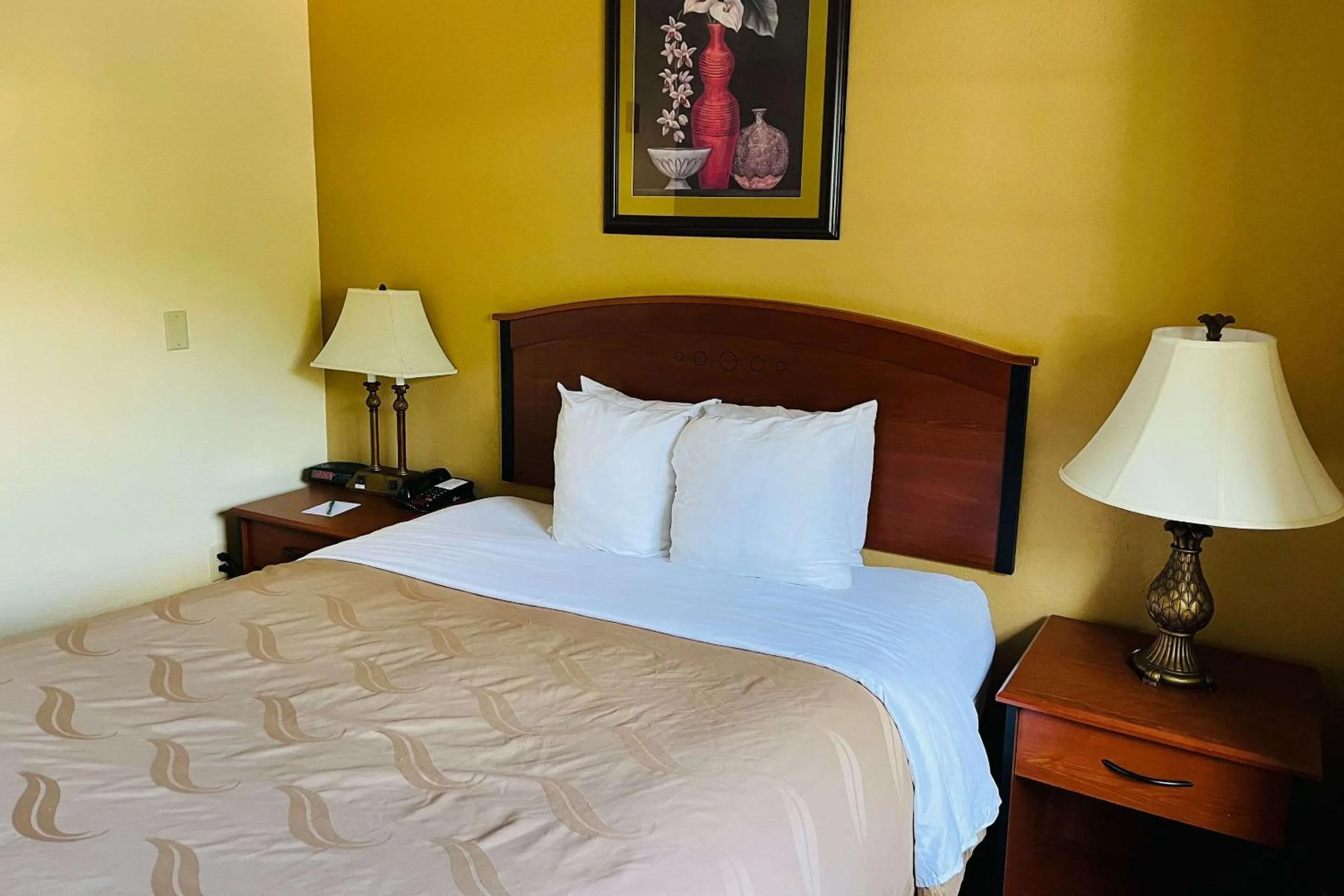 Bedroom, Bed in Quality Inn & Suites Prestonsburg next to Mountain Arts Center