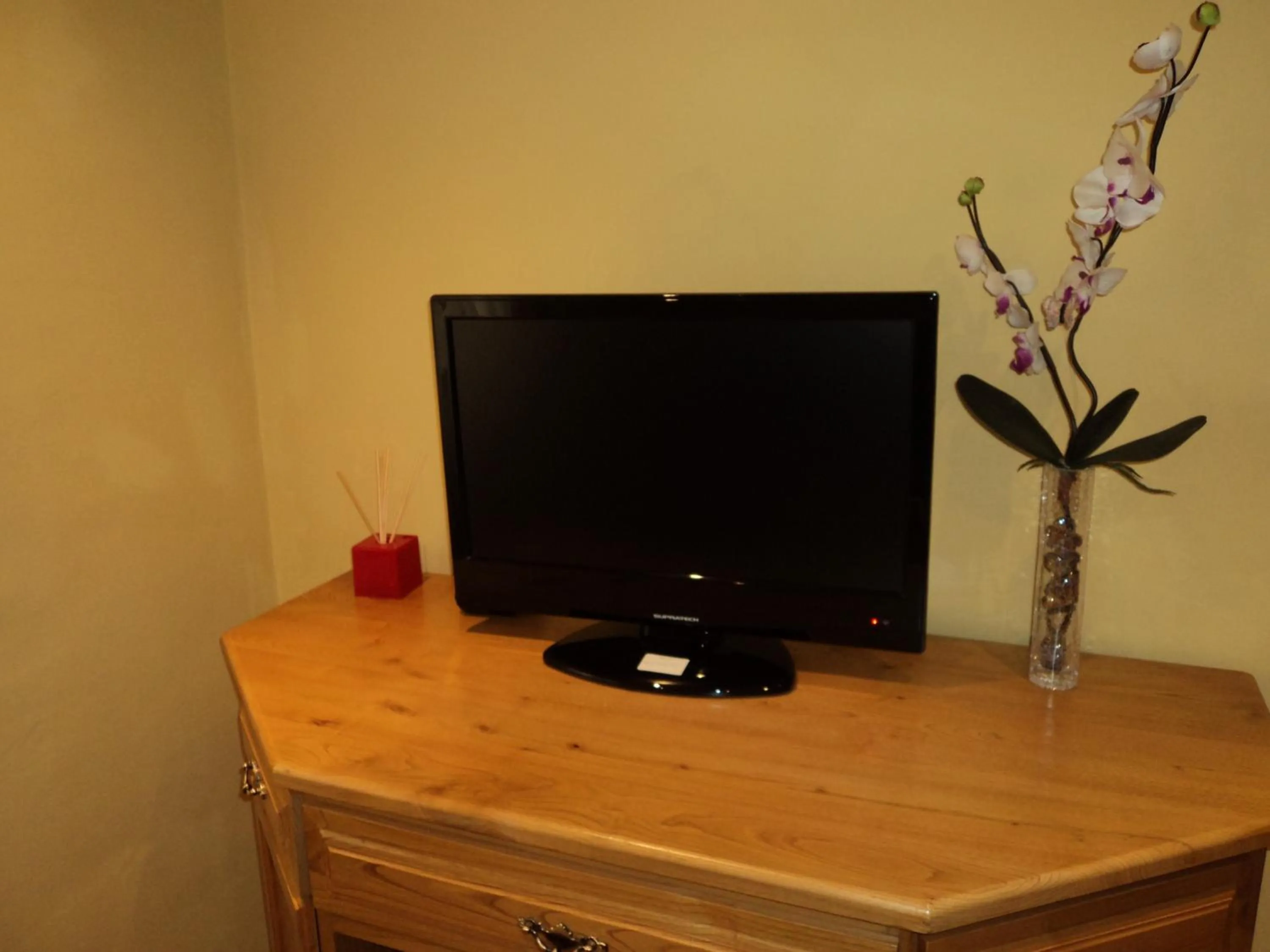 TV and multimedia in Apartamentos Casa Rosendo