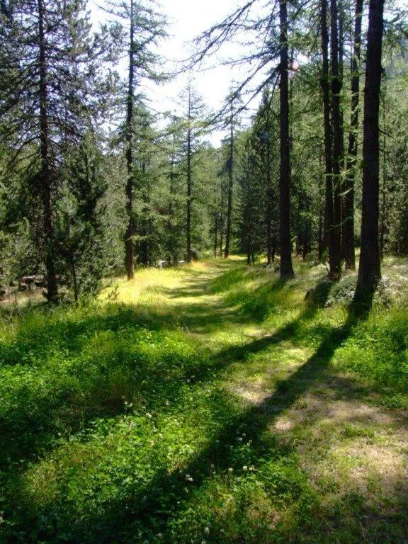 Albergo Castello da Bonino