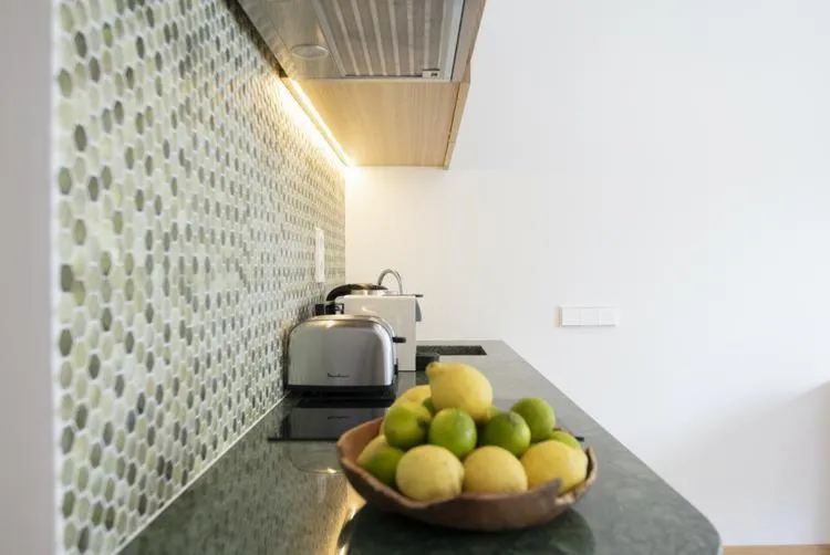 Kitchen or kitchenette in Boutique Apartments Marsol Ibiza