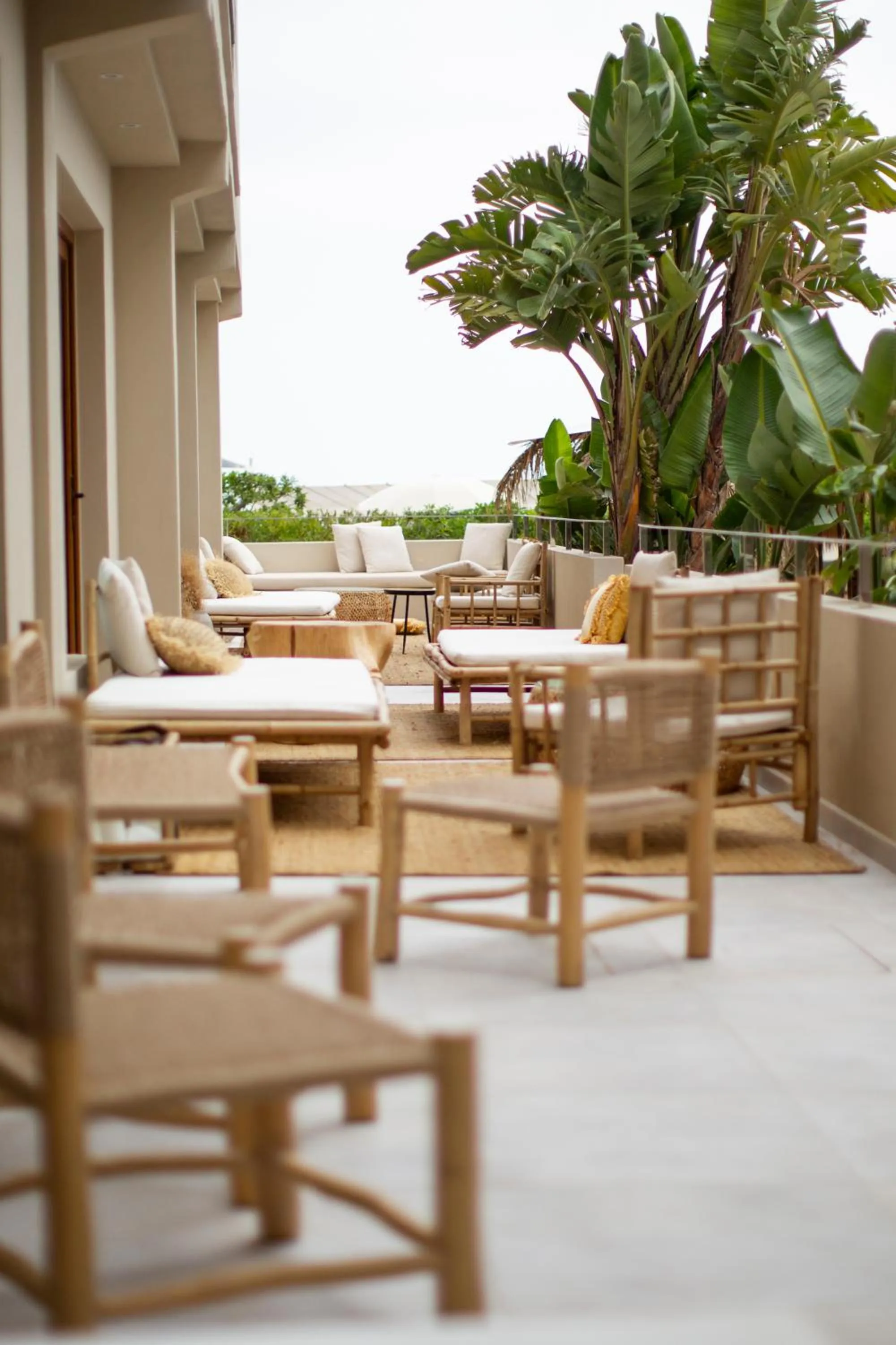Patio in Boutique Apartments Marsol Ibiza