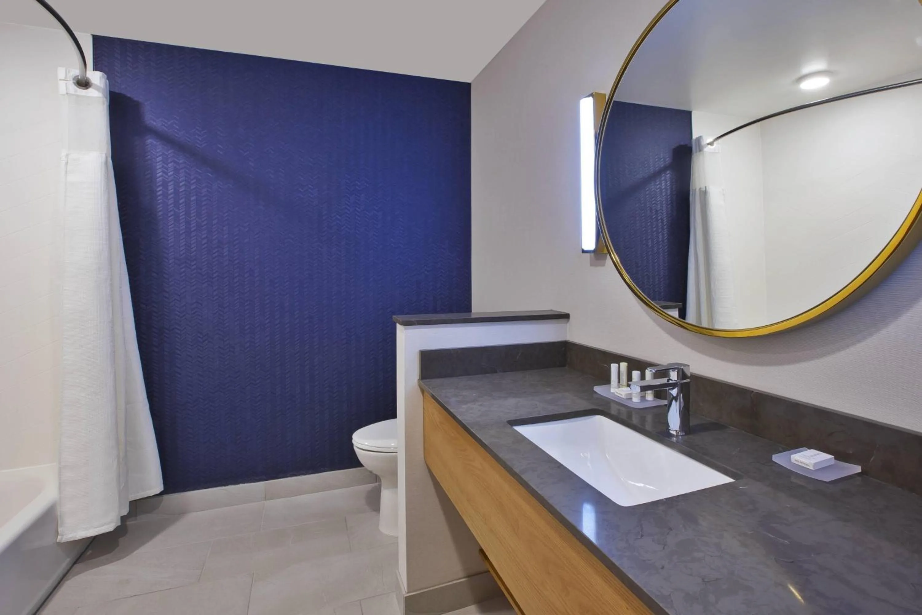 Bathroom in Fairfield Inn & Suites by Marriott Flint Grand Blanc