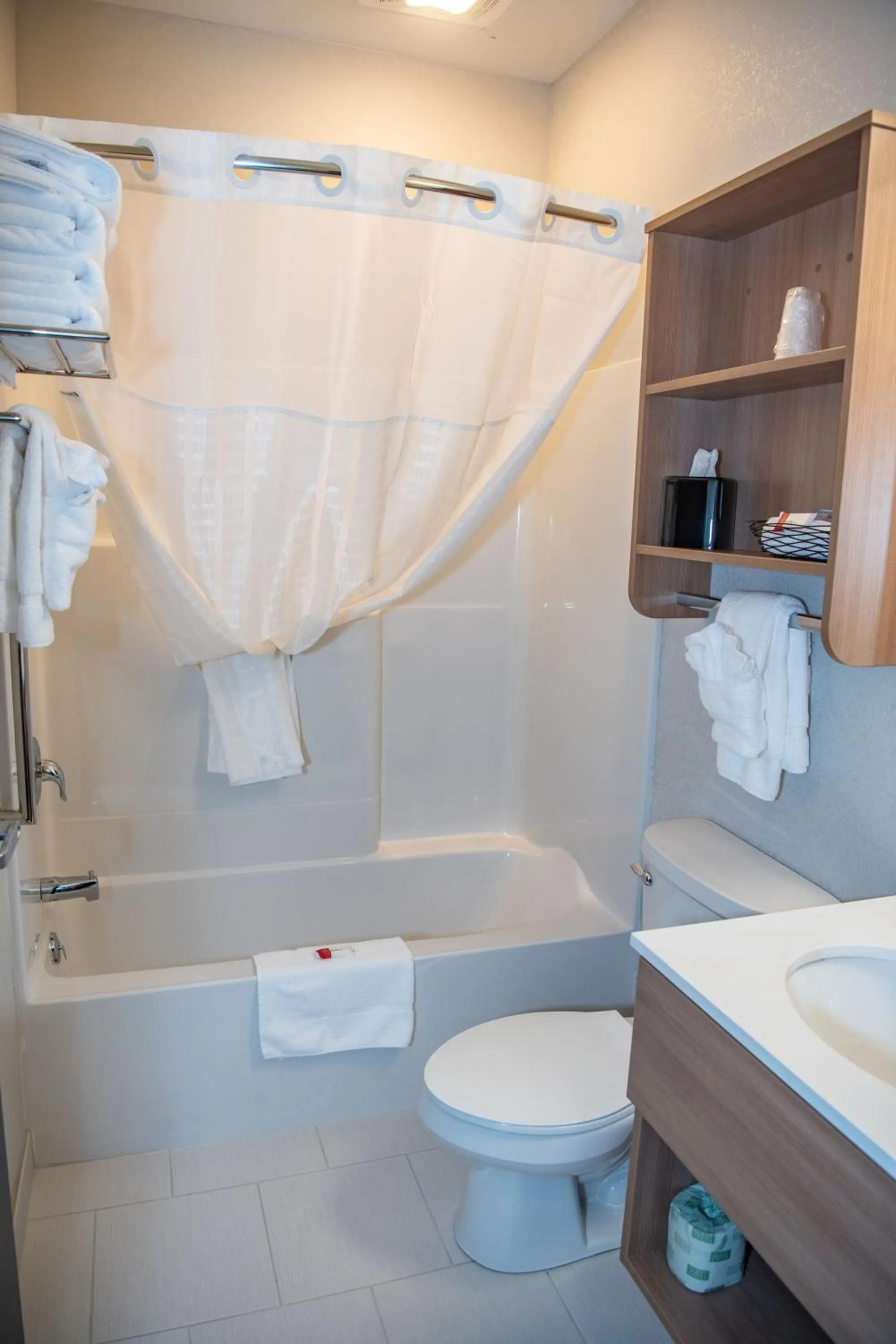 Toilet in Microtel Inn & Suites by Wyndham Carlisle