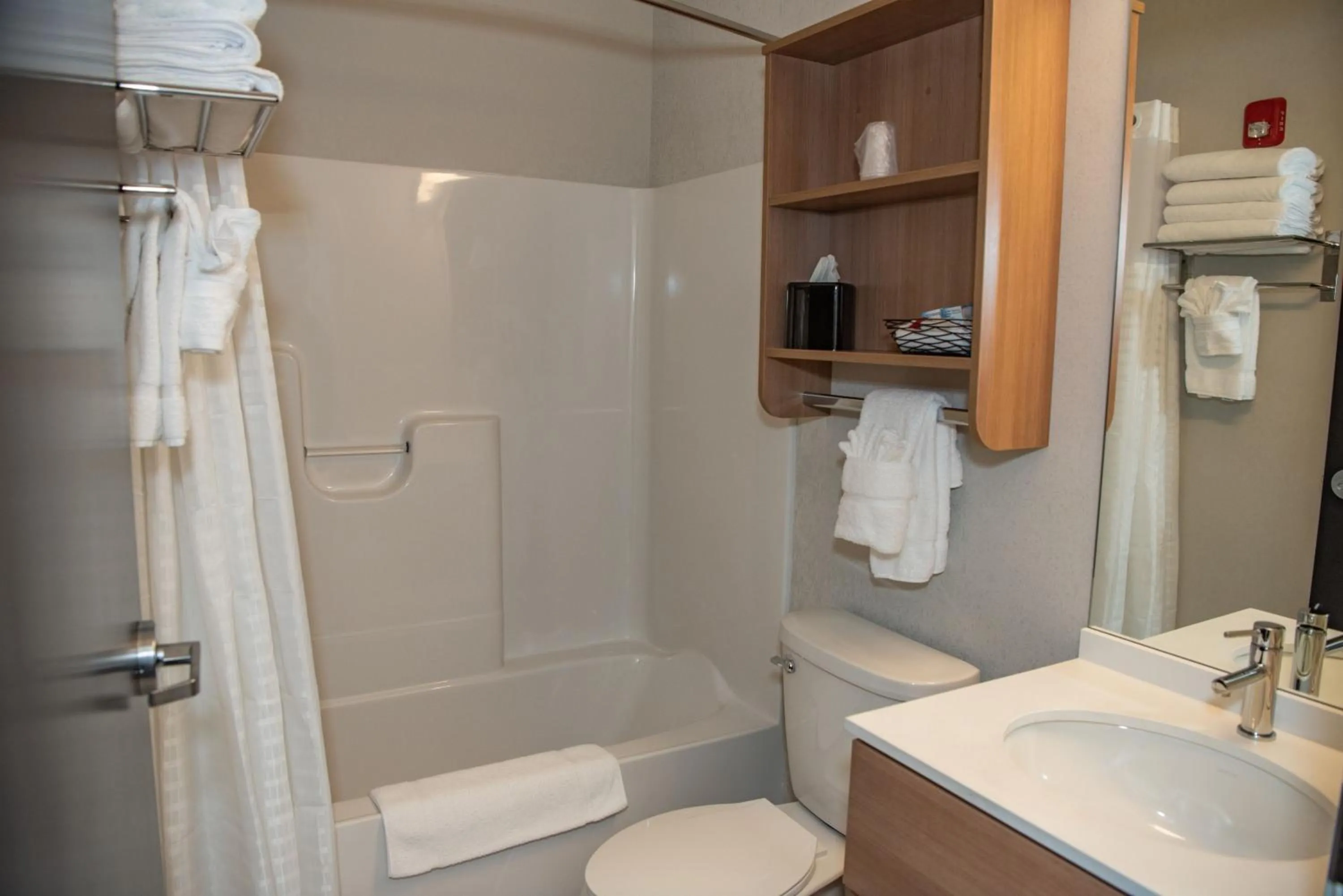 Bathroom in Microtel Inn & Suites by Wyndham Carlisle