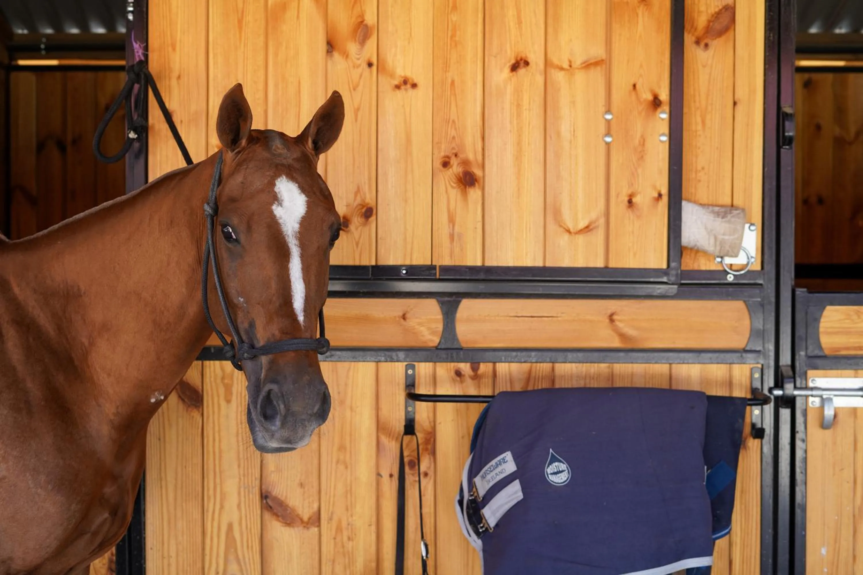 Activities in Auberge du Jeu de Paume