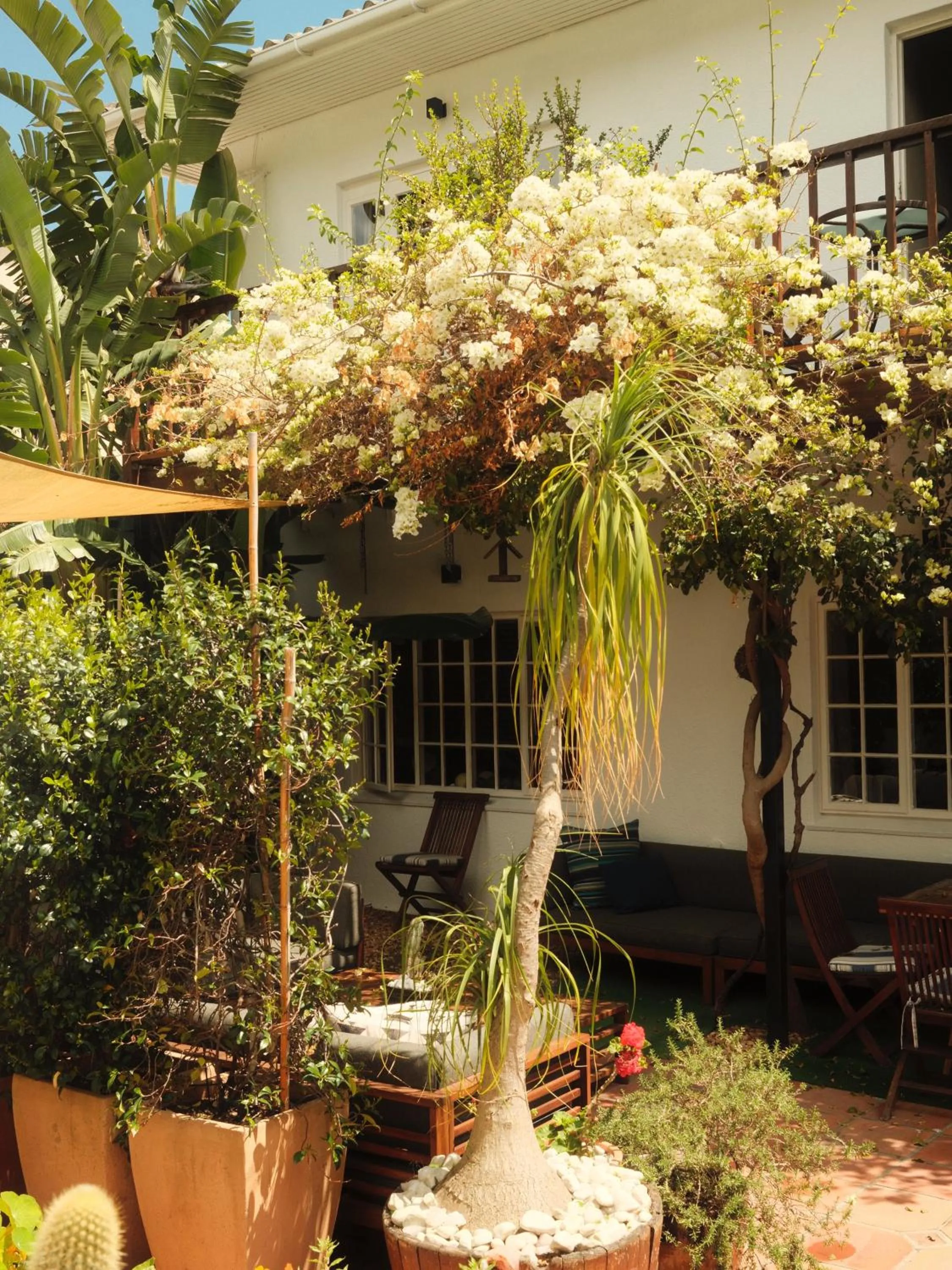 Property building in Villa Costa Rose