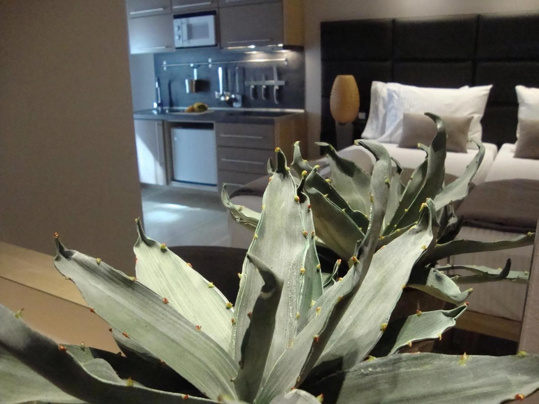 Decorative detail in Ionian Eye Design Studios & Spa