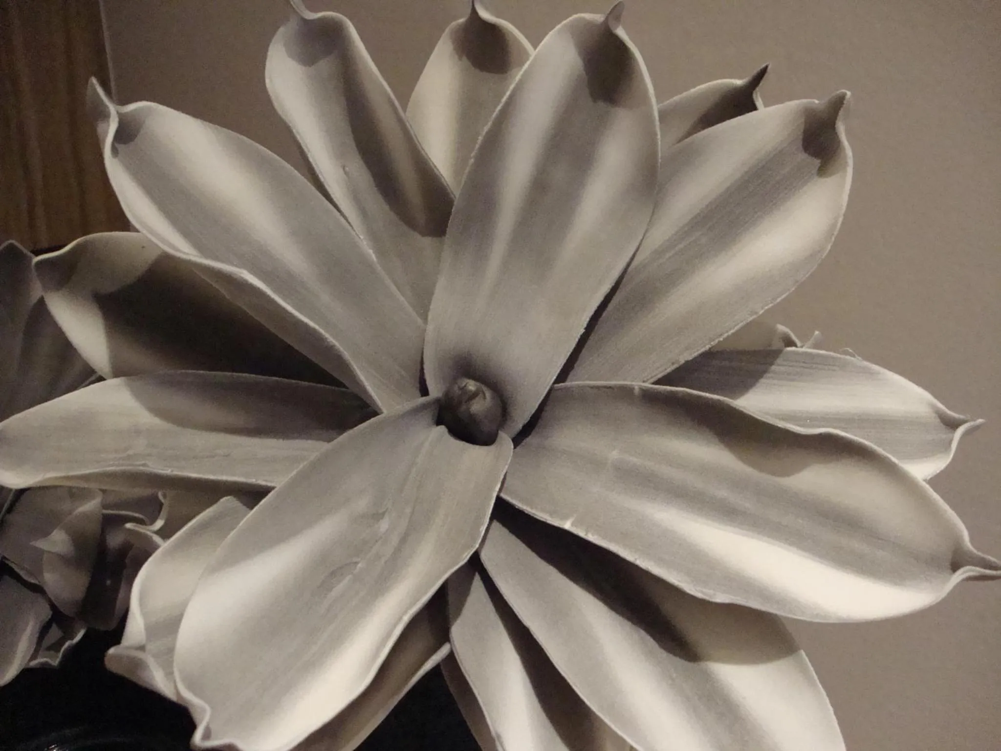 Decorative detail in Ionian Eye Design Studios & Spa