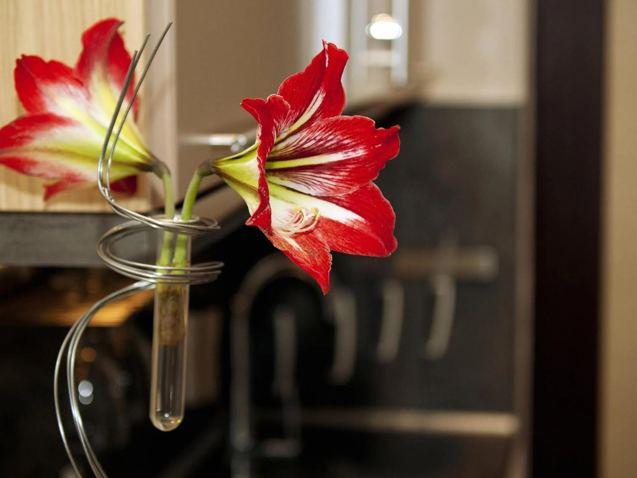 Decorative detail in Ionian Eye Design Studios & Spa