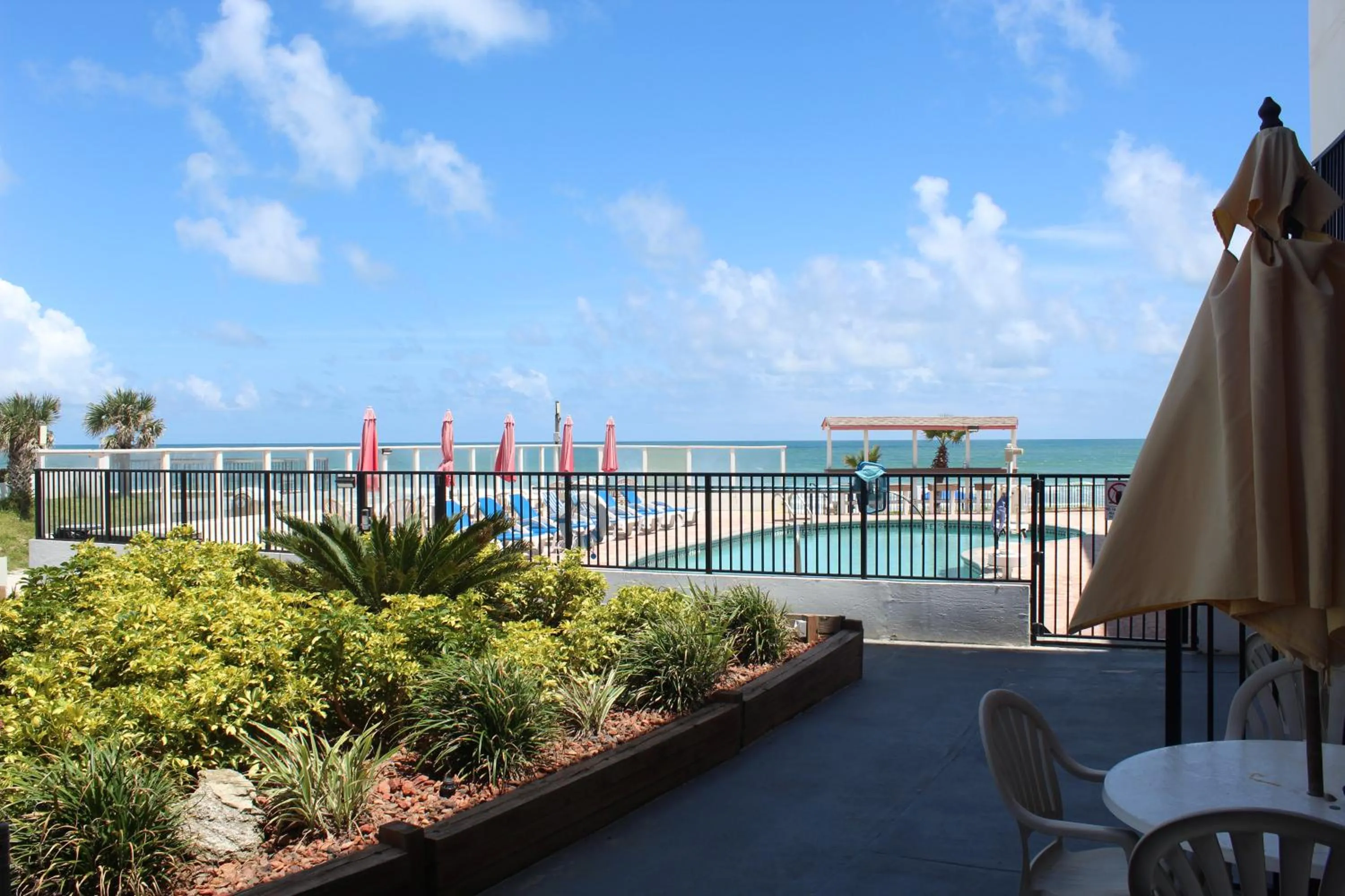 Swimming pool in Cove Motel Oceanfront