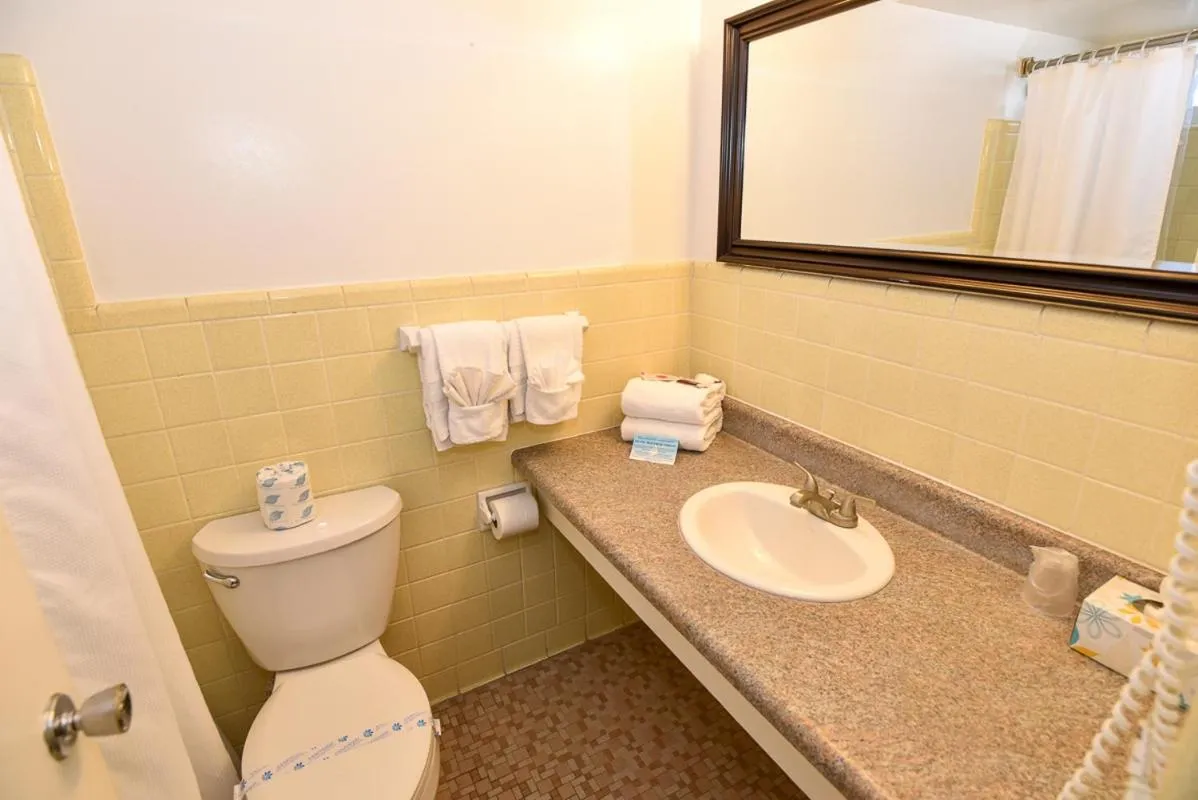 Cove Motel Oceanfront