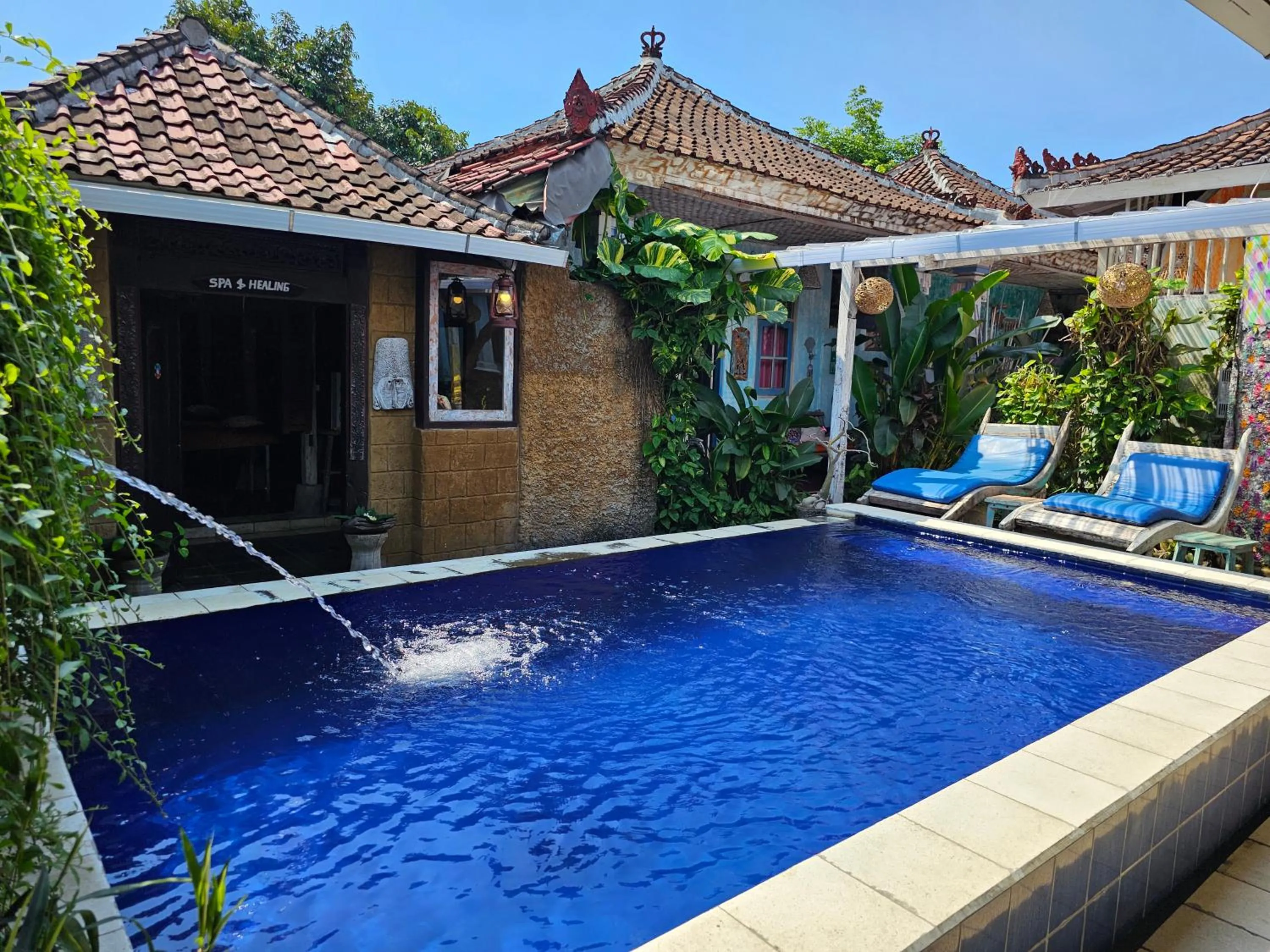 Pool view in Lovina Loca