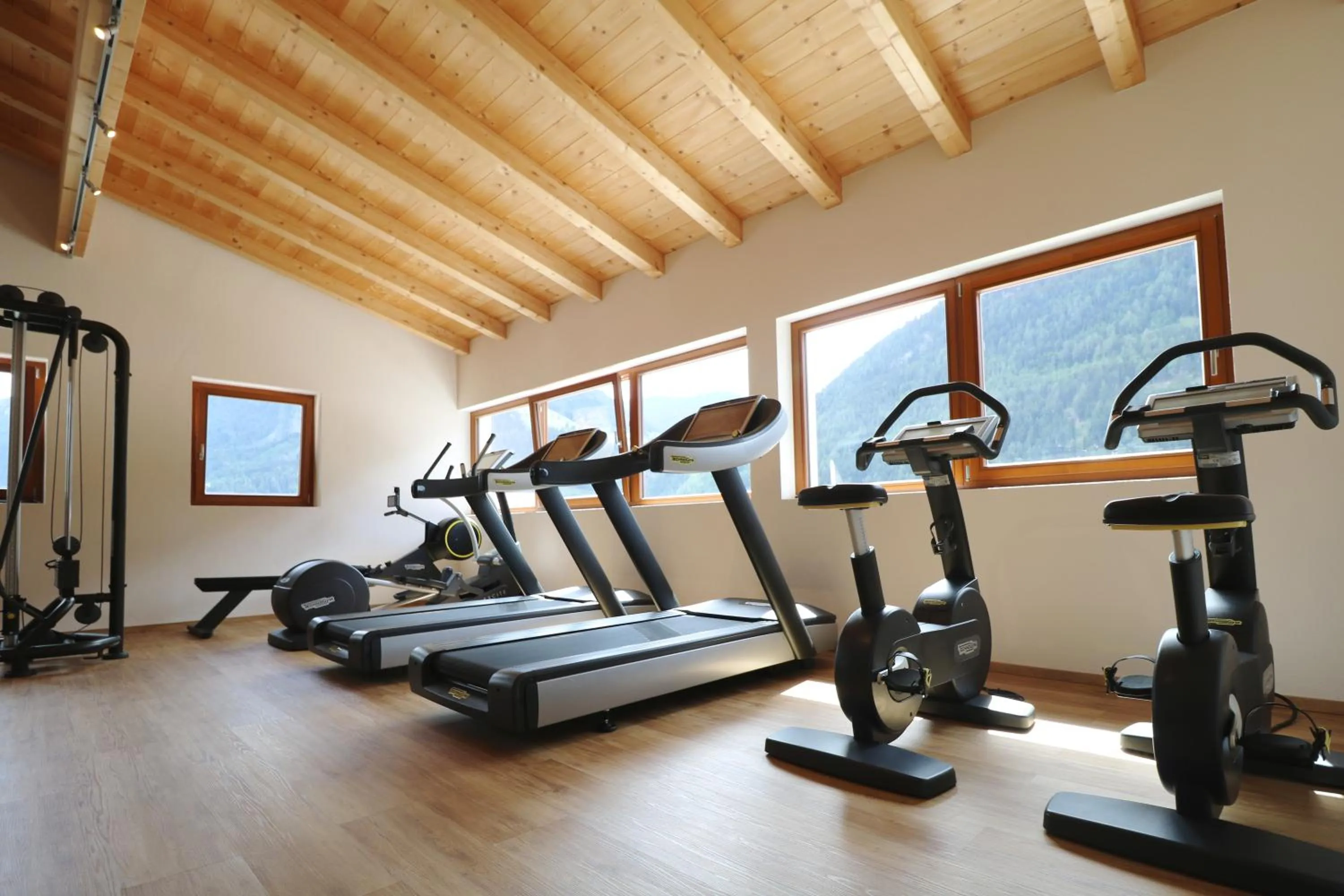 Fitness centre/facilities in Hotel Traube