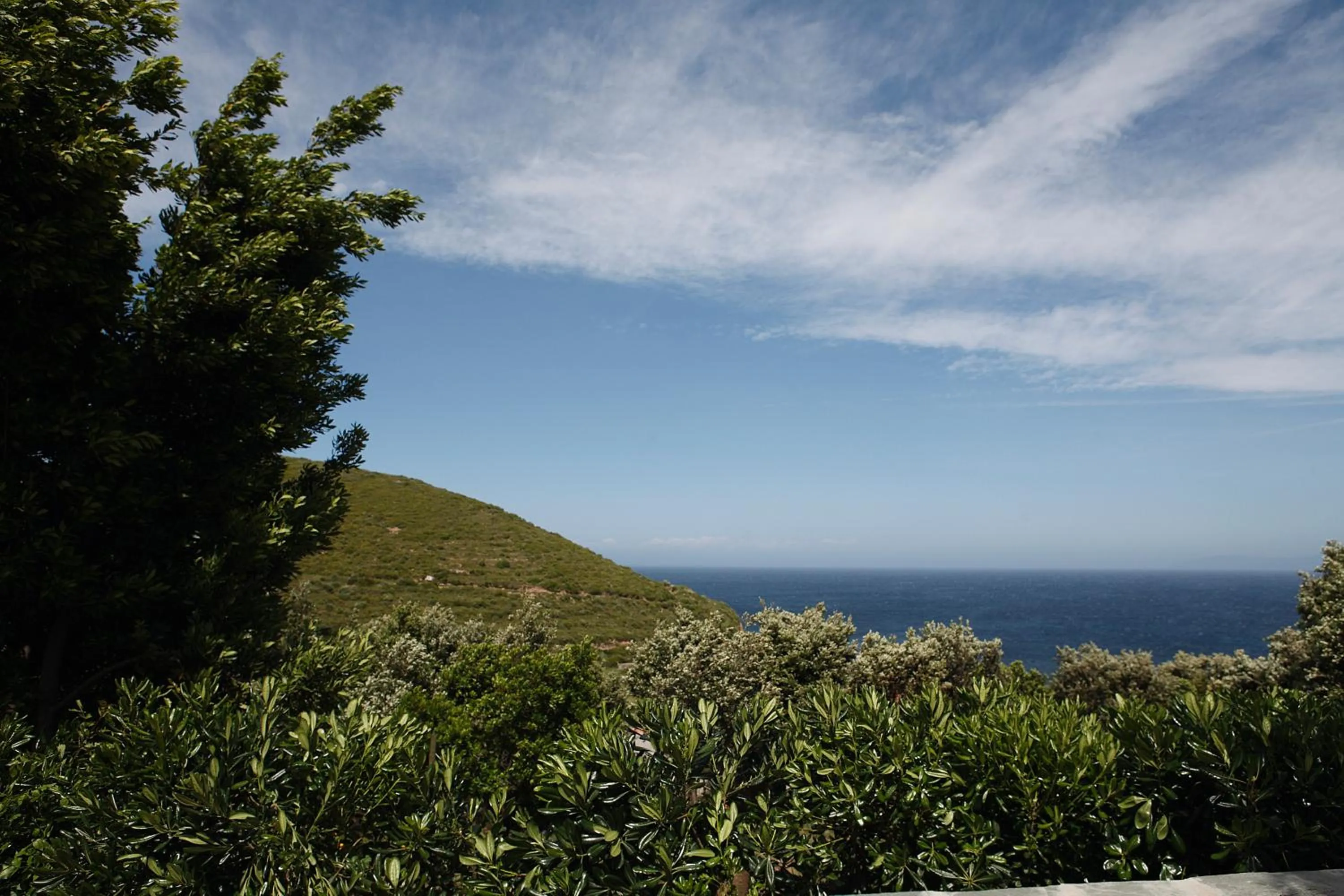 View (from property/room) in Casa di Babbo